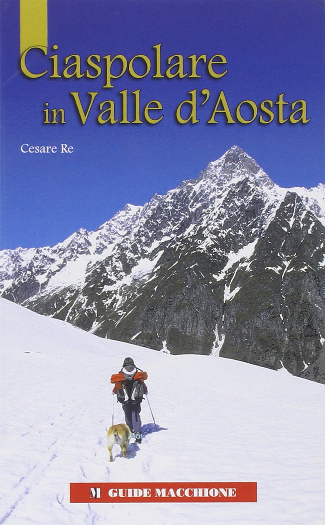 Ciaspolare in Valle d'Aosta. Ediz. illustrata book