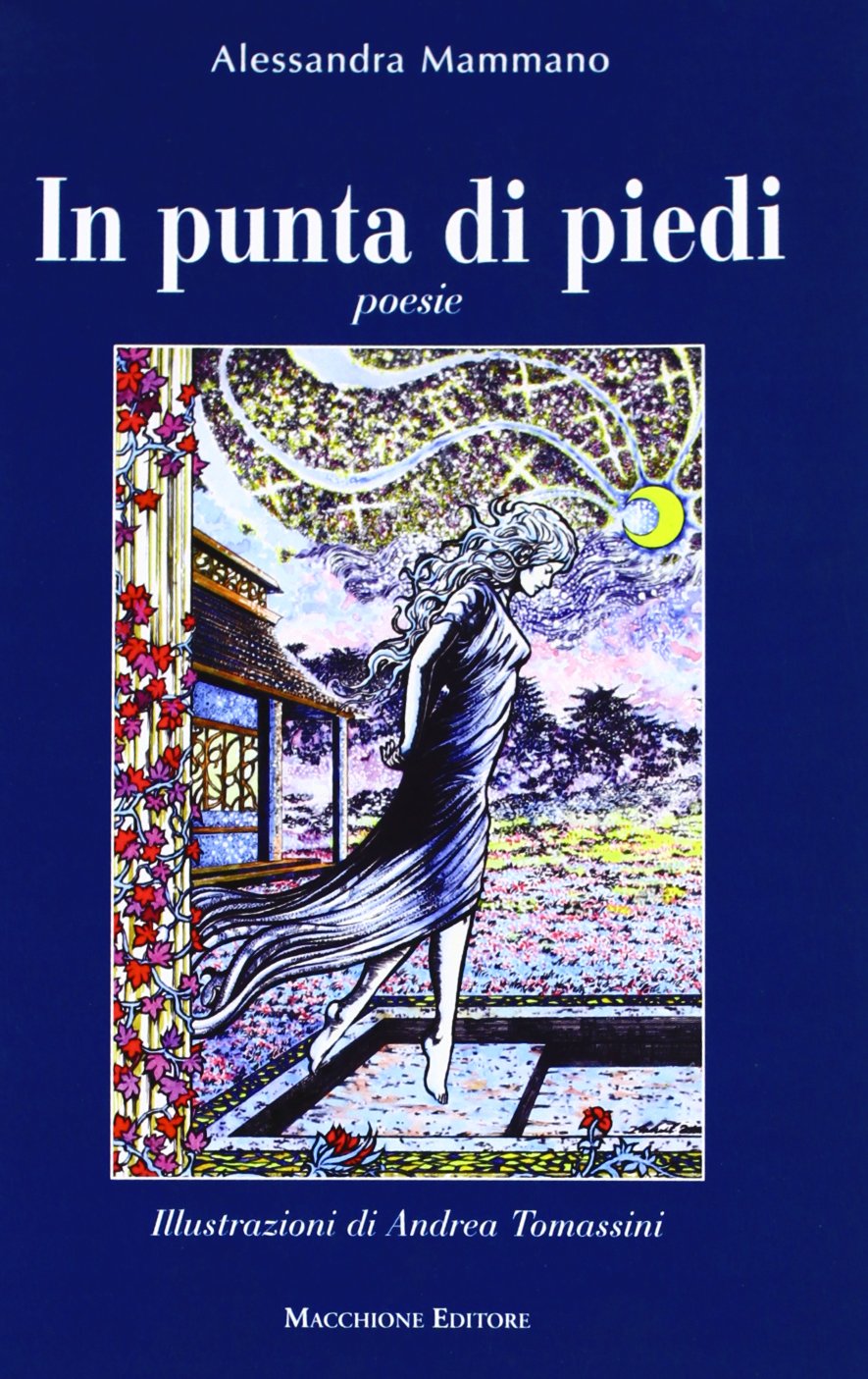 In punta di piedi. Poesie e disegni book