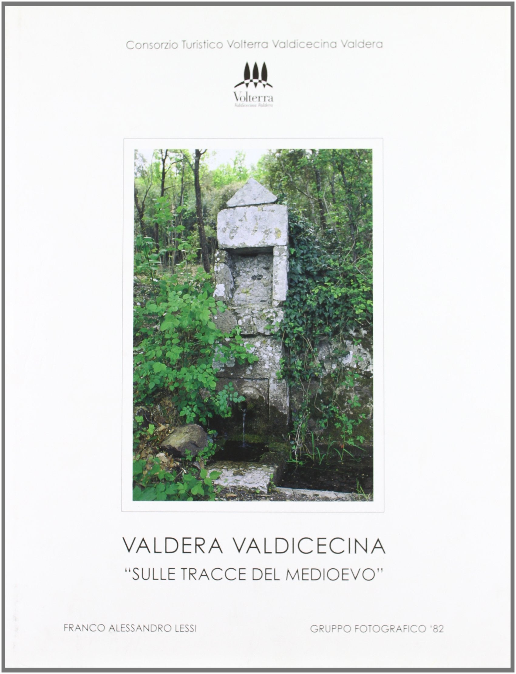 Valdera/Valdicecina. Sulle tracce del Medioevo book