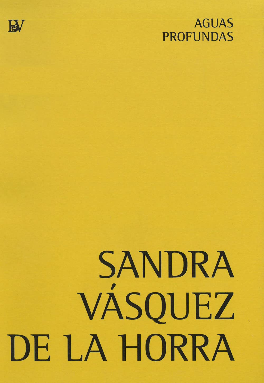 Sandra Vásquez de la Horra. Aguas profundas. Ediz. inglese e tedesca book