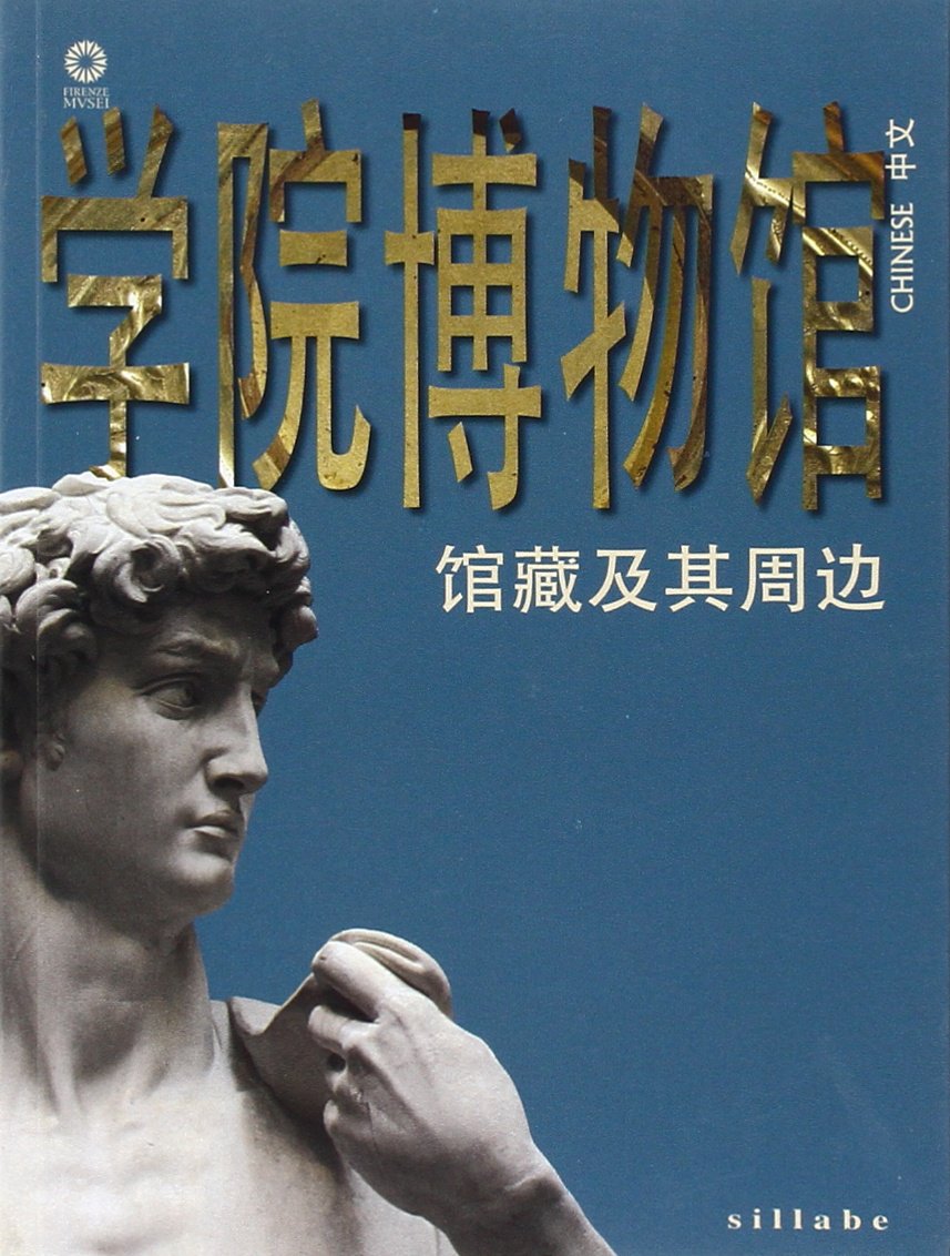 Galleria dell'accademia. Capolavori e dintorni. Ediz. cinese book