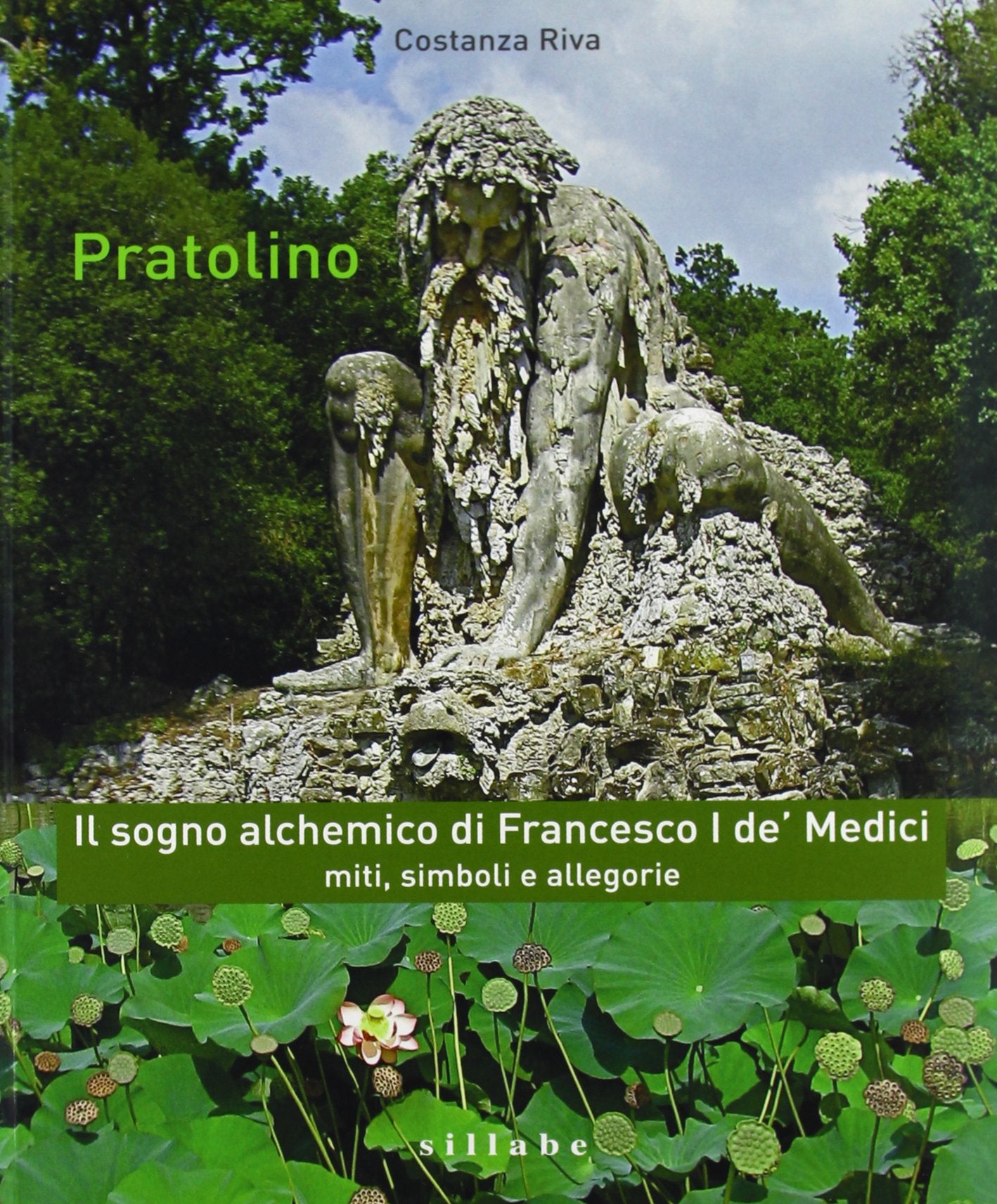 Pratolino. Il sogno alchemico di Francesco I de' Medici. Miti, simboli e allegorie book