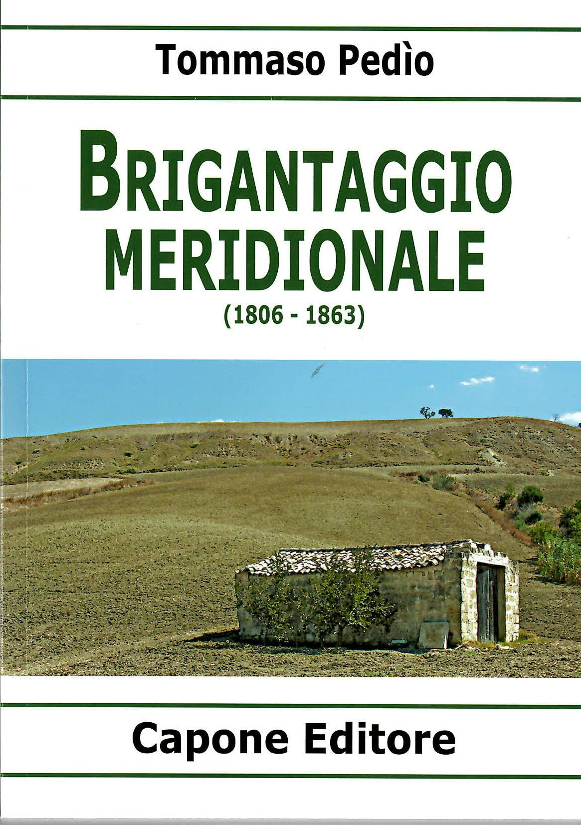 Brigantaggio meridionale (1806-1863) book