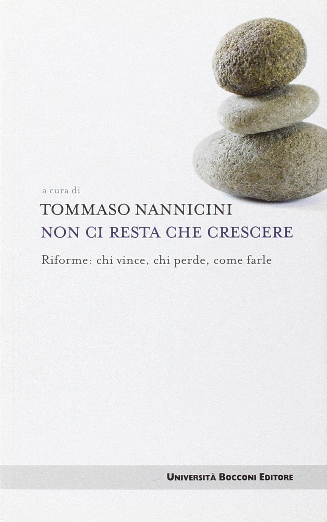 Non ci resta che crescere. Riforme: chi vince, chi perde, come farle (Itinerari) Business, Finance & Career