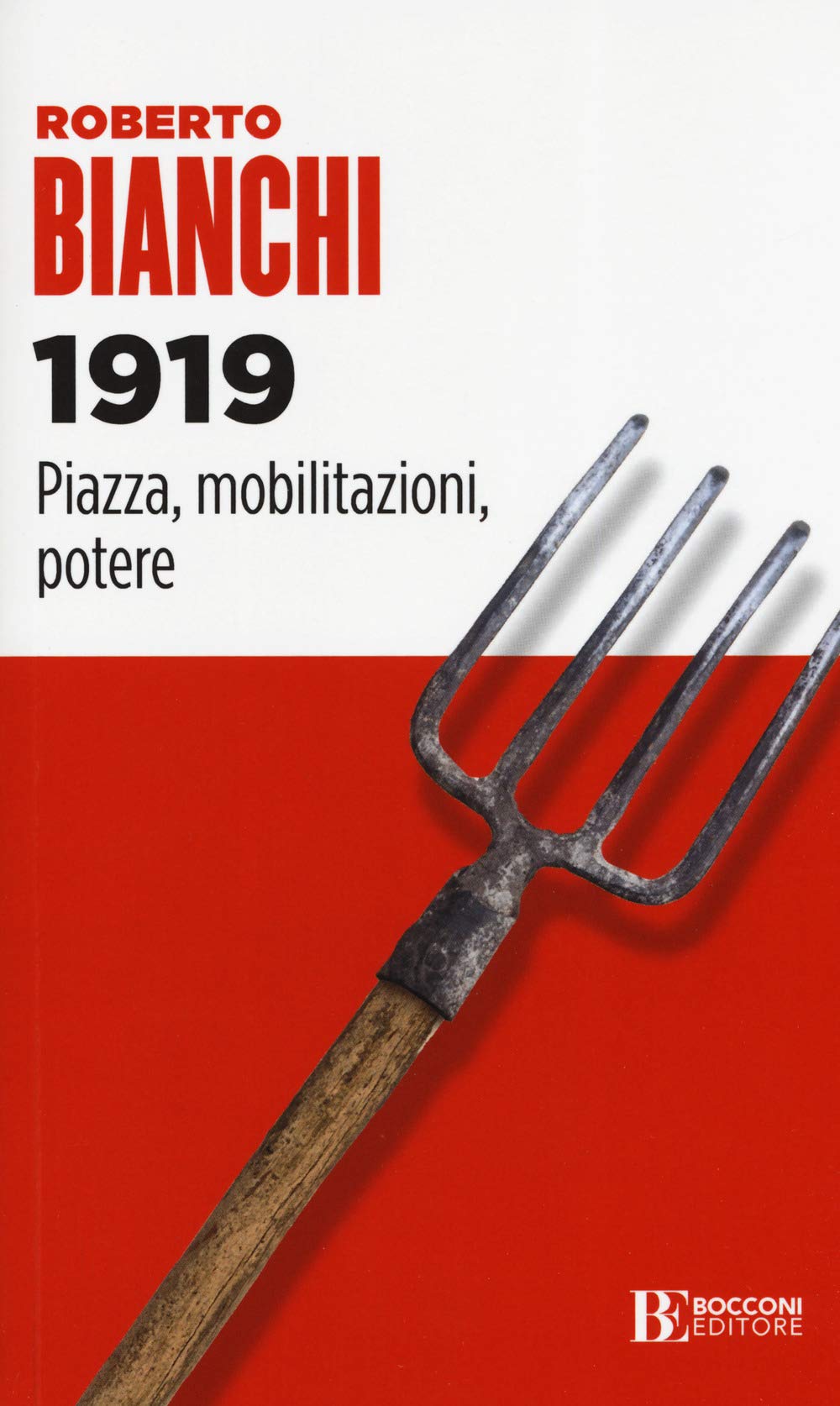1919. Piazza, mobilitazioni, potere book