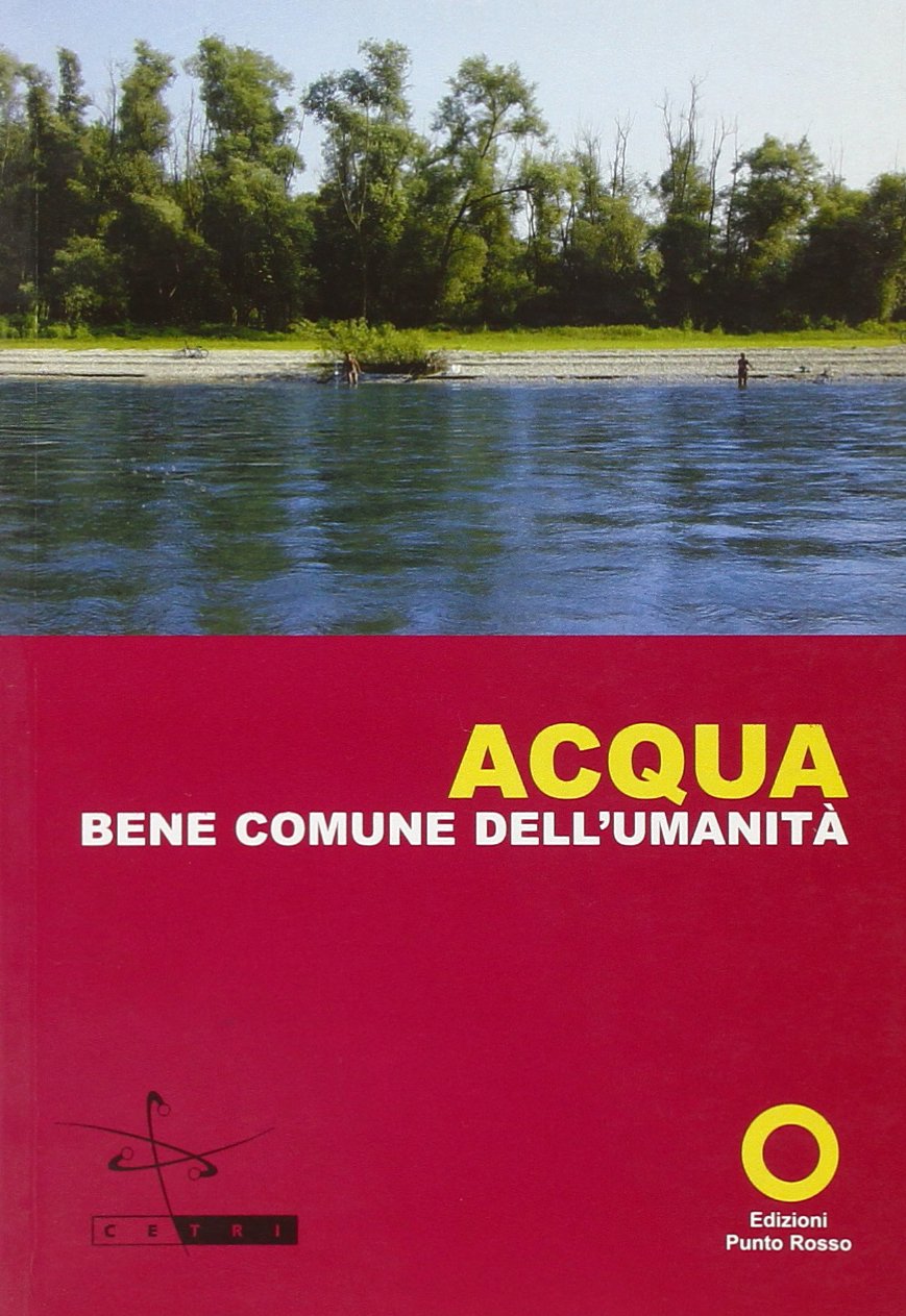 Acqua. Bene comune dell'umanità (Quaderni di Alternatives sud) Business, Finance & Career