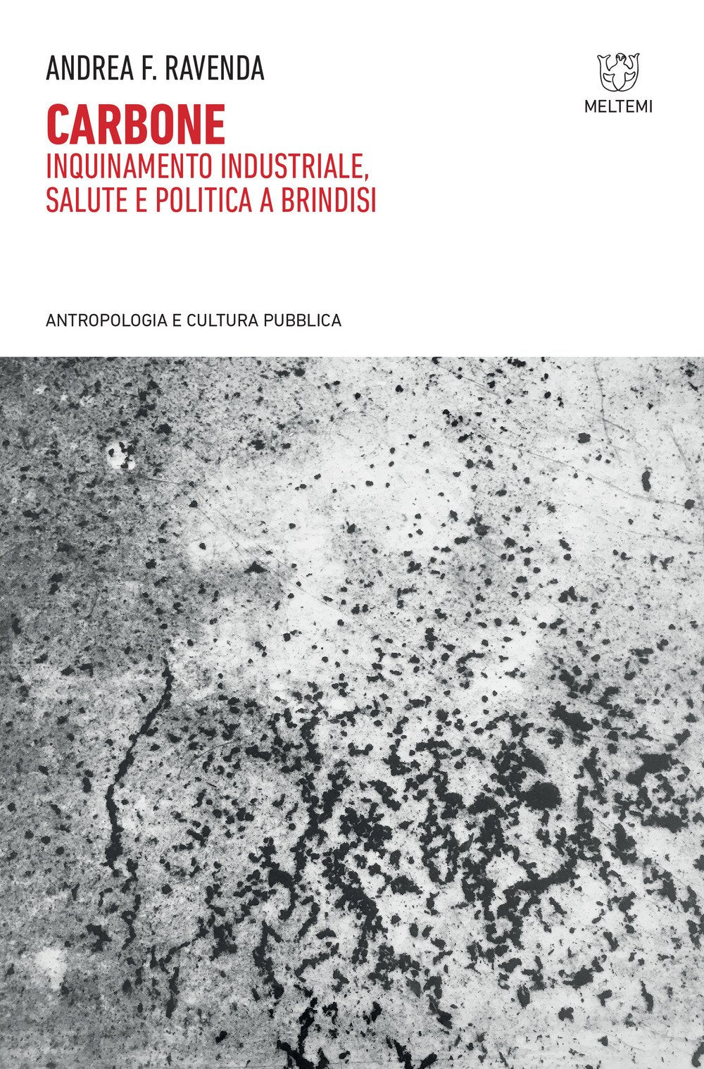 Carbone. Inquinamento industriale, salute e politica a Brindisi book