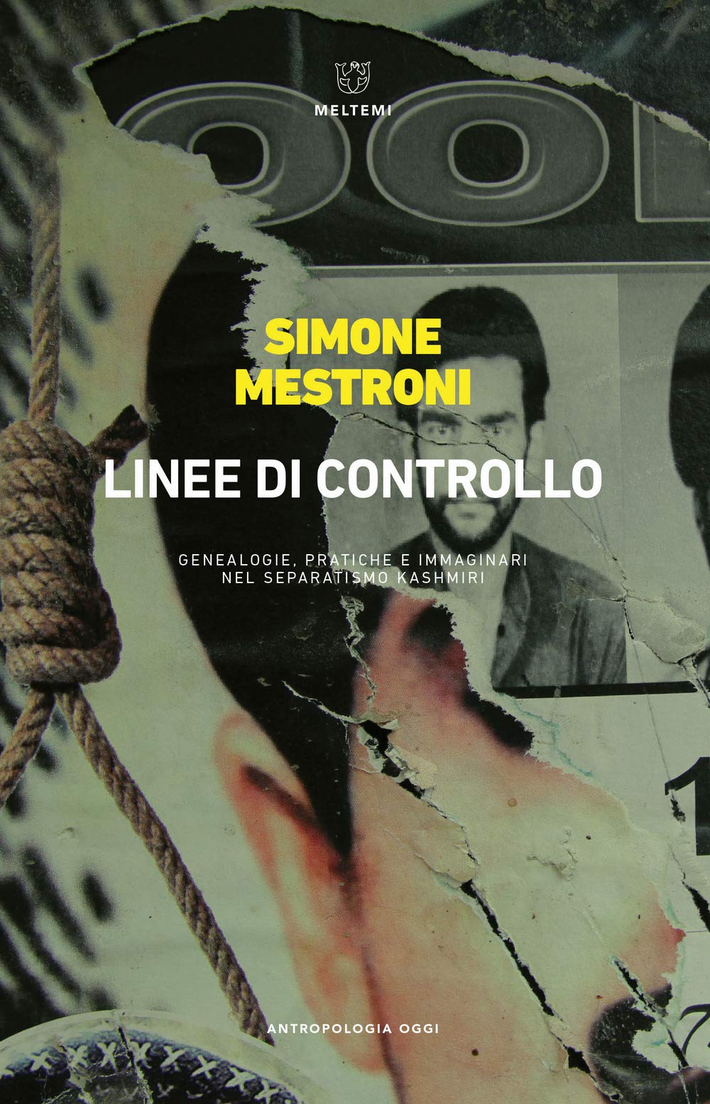 Linee di controllo. Genealogie, pratiche e immaginari del separatismo kashmiri book