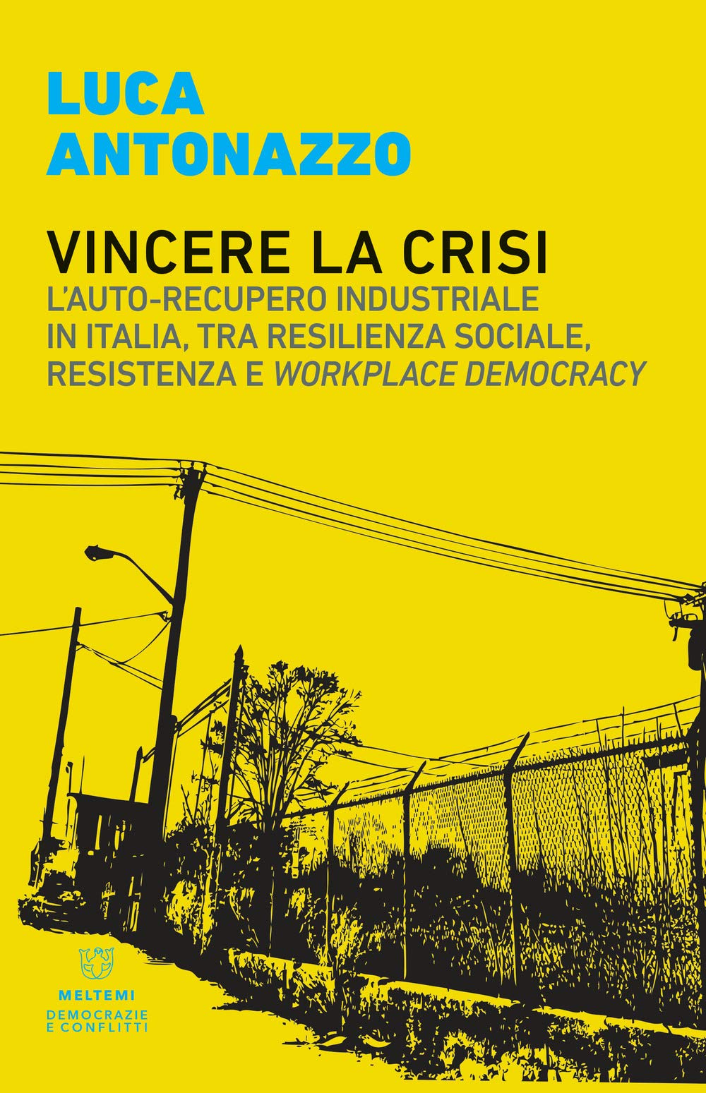 Vincere la crisi. L'auto-recupero industriale in Italia, tra resilienza sociale, resistenza e «workplace democracy» book