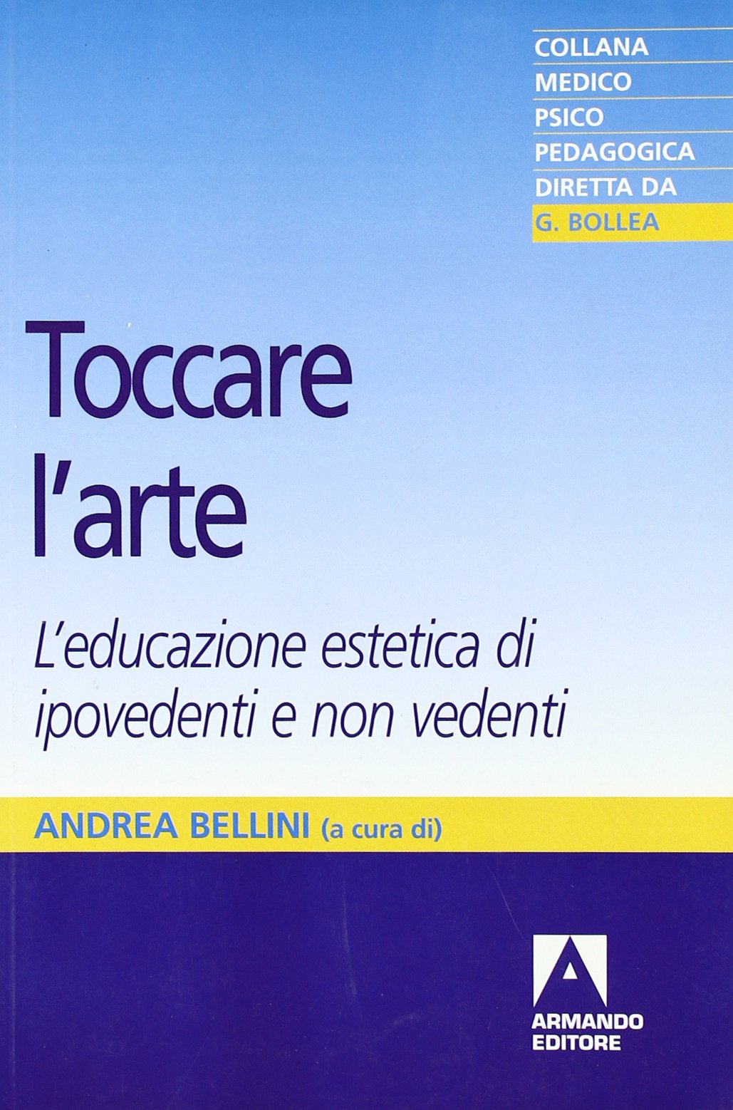 Toccare l'arte. L'educazione estetica di ipovedenti e non vedenti book