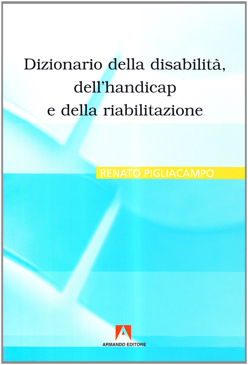 Dizionario della disabilità, dell'handicap e della riabilitazione book