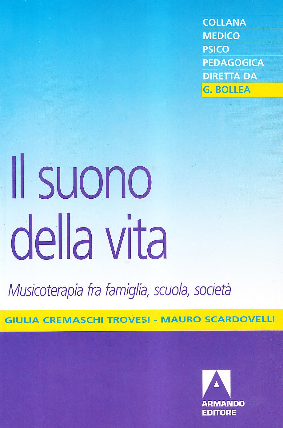 Il suono della vita. Musicoterapia tra famiglia, scuola, società book