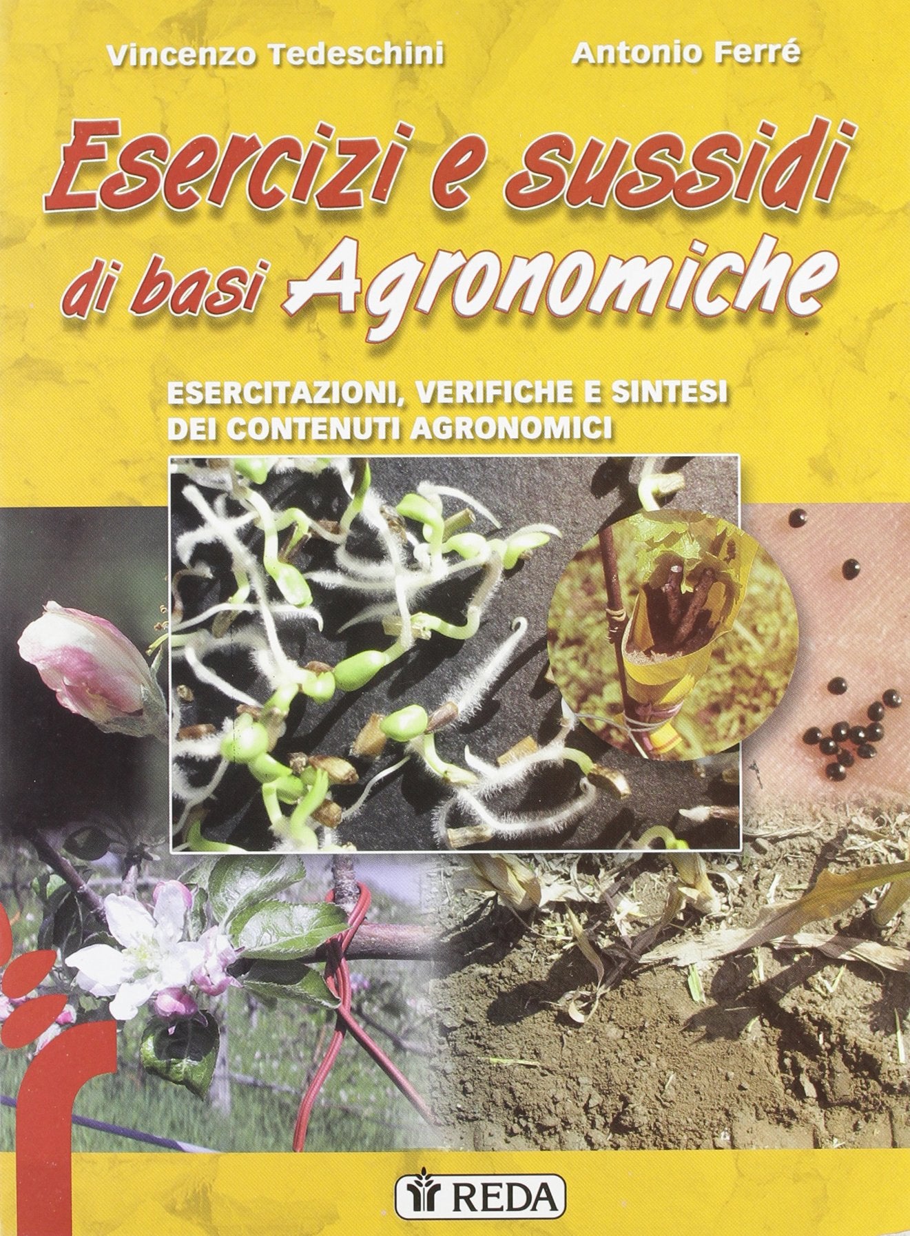 Sussidi ed esercizi di basi agronomiche. Esercitazioni, verifiche e sintesi dei contenuti agronomici. Per gli Ist. tecnici e professionali agrari Non-fiction
