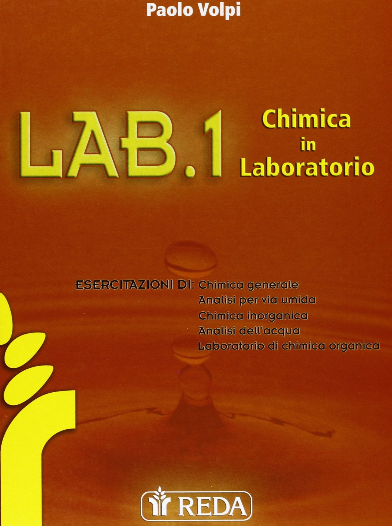 Lab. Chimica in laboratorio. Per gli Ist. tecnici e professionali (Vol. 1) book