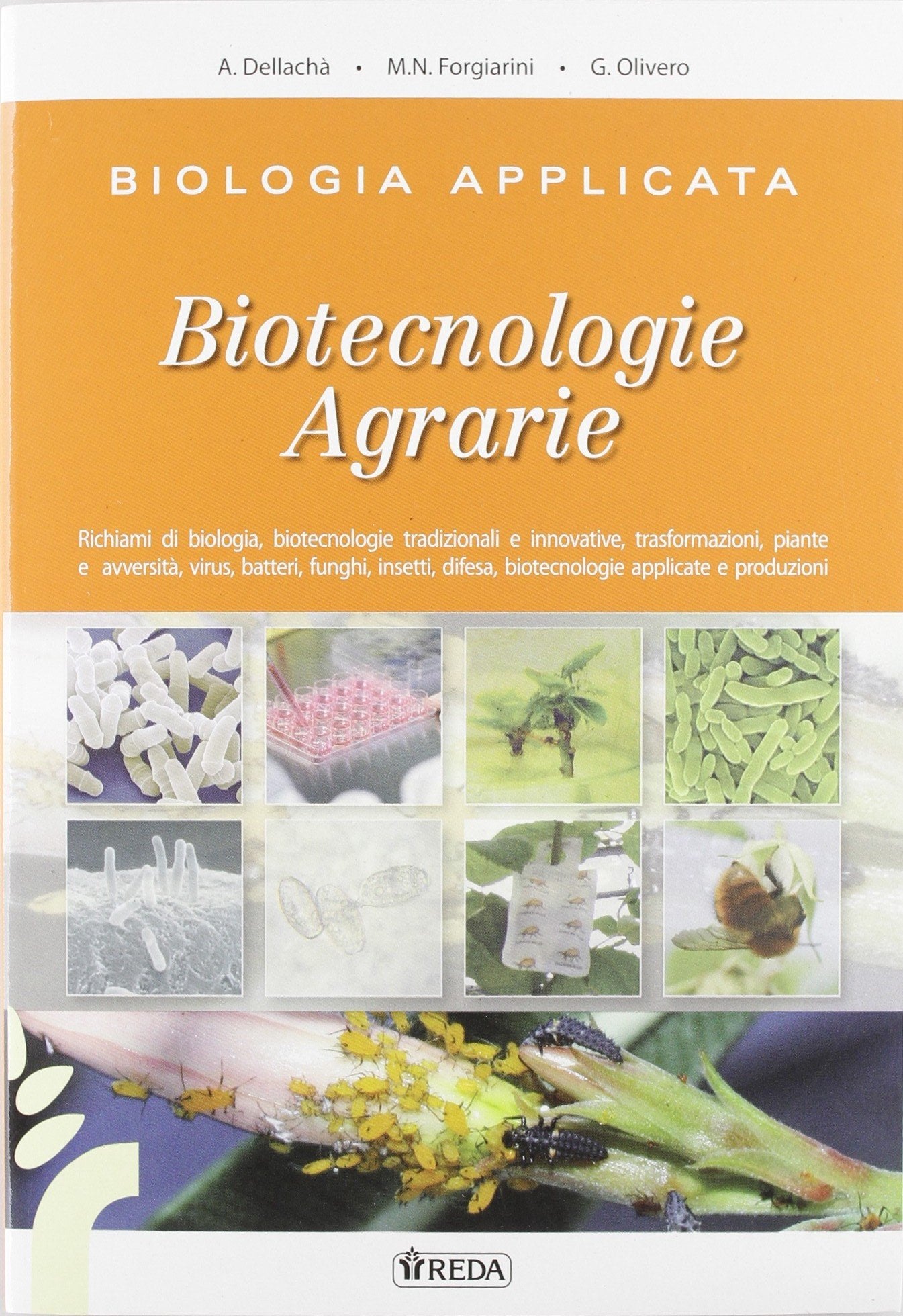 Biologia applicata e biotecnologie agrarie. Genetica, trasformazioni, agroambiente. Per gli Ist. tecnici agrari. Con espansione online Business, Finance & Career