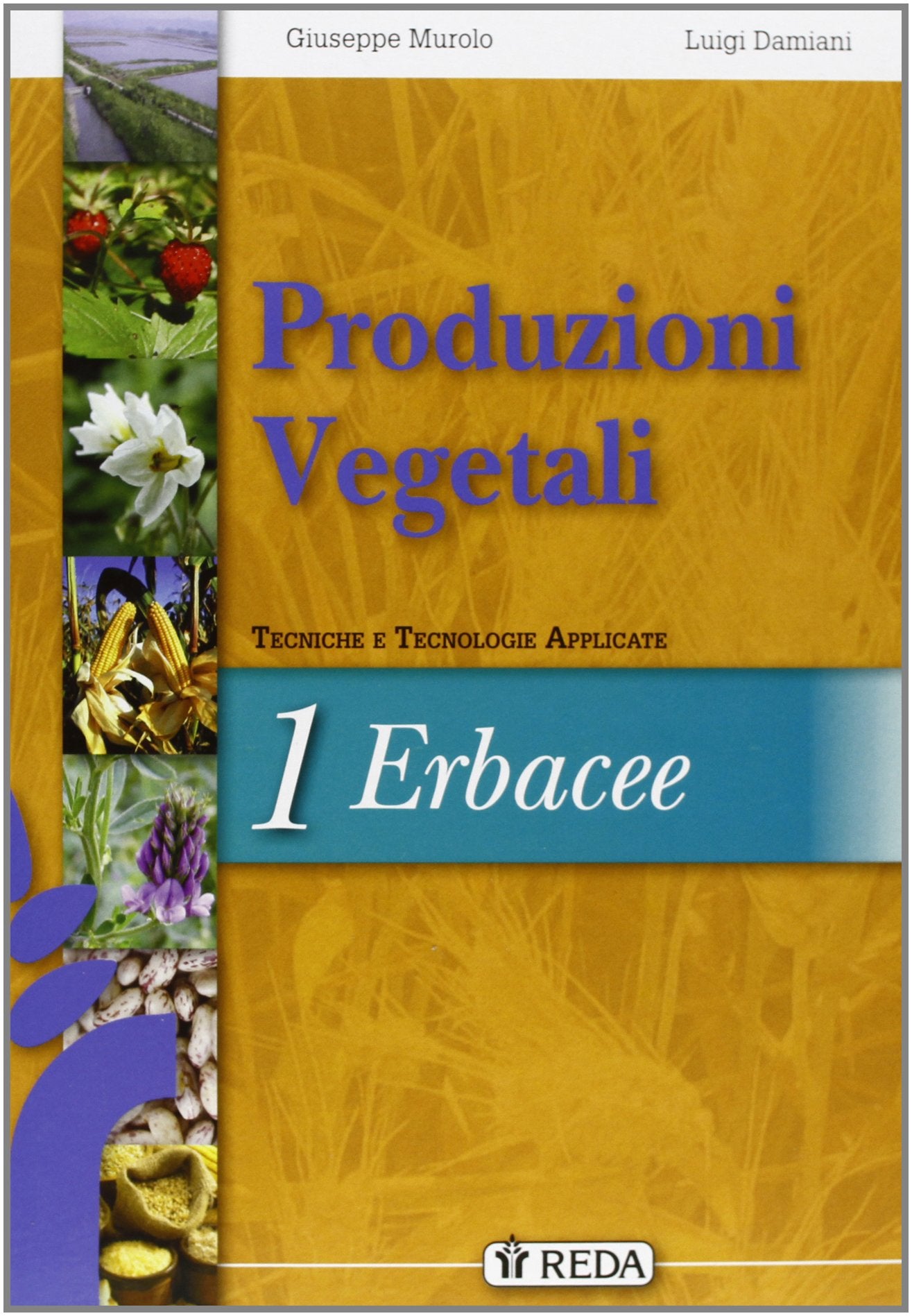 Corso di produzioni vegetali. Tecniche e tecnologie applicate. Vol. unico. Per gli Ist. tecnici agrari. Con espansione online Non-fiction