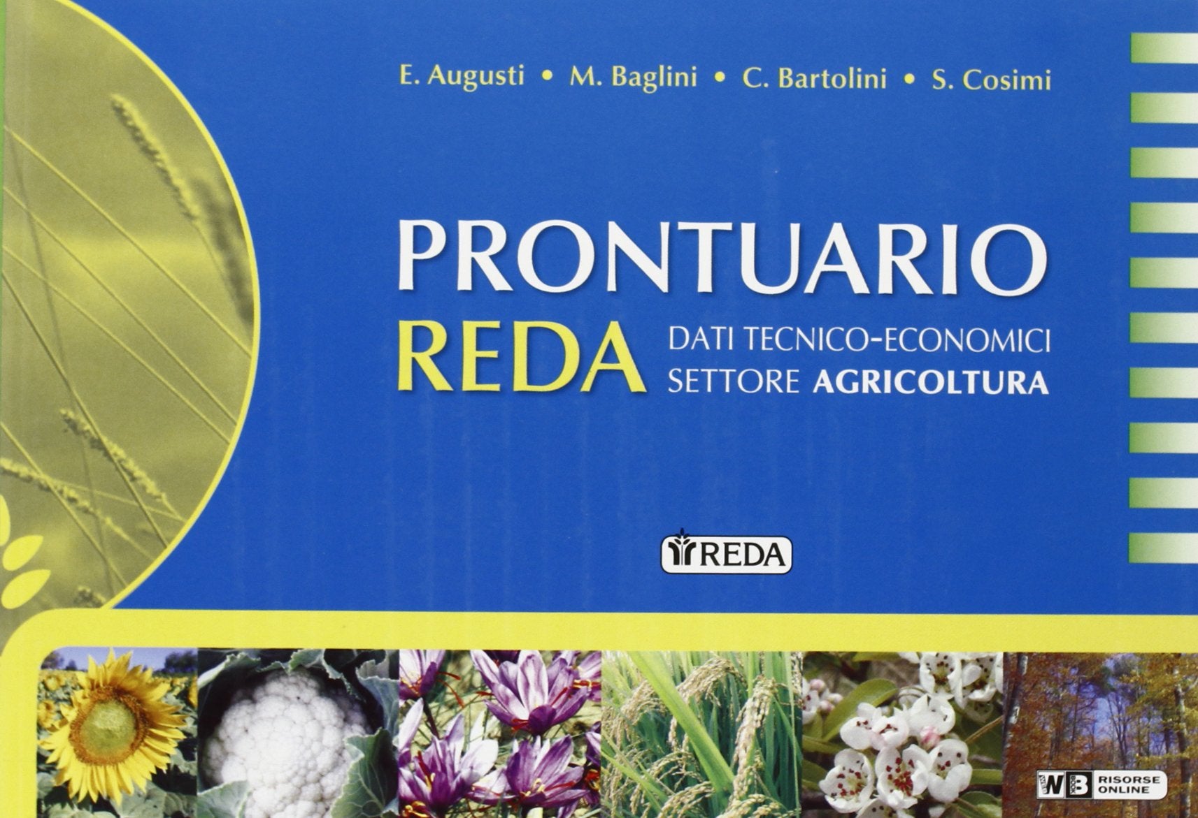 Nuovo prontuario Reda. Per le Scuole superiori. Con e-book. Con espansione online. tura Professional & Reference Books