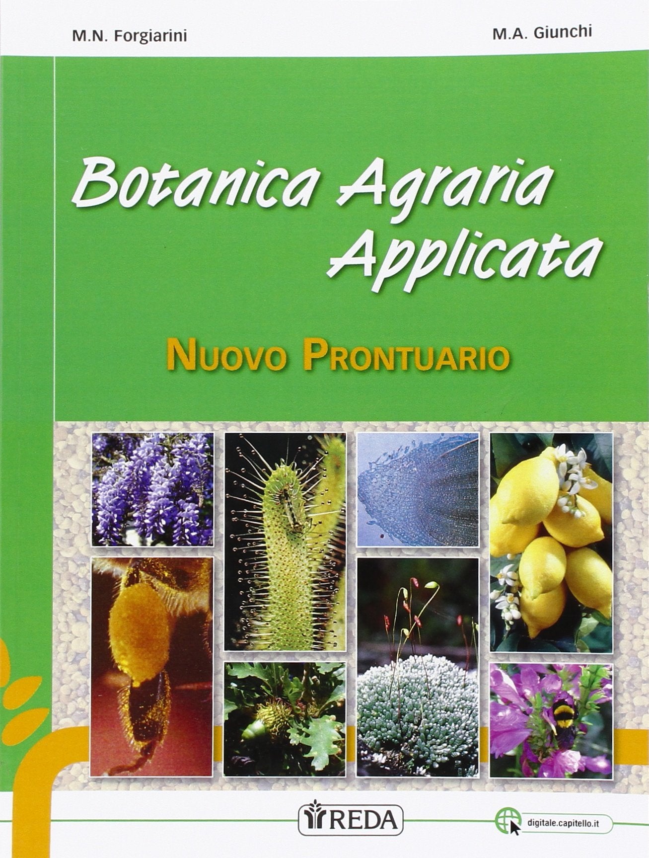 Nuovo prontuario di botanica agraria applicata. Per gli Ist. professionali. Con e-book. Con espansione online Study Guides