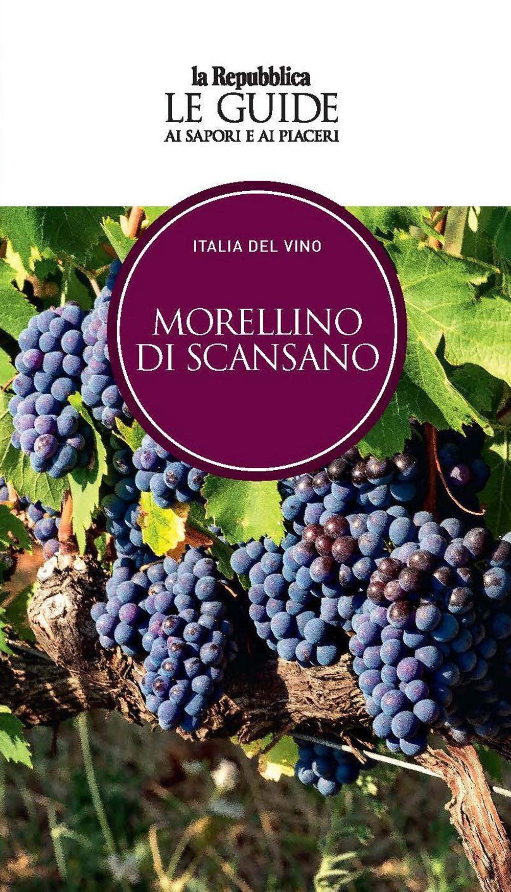 Morellino di Scansano. Italia del vino. Le guide ai sapori e ai piaceri (Le Guide di Repubblica) Leisure, Home & Garden