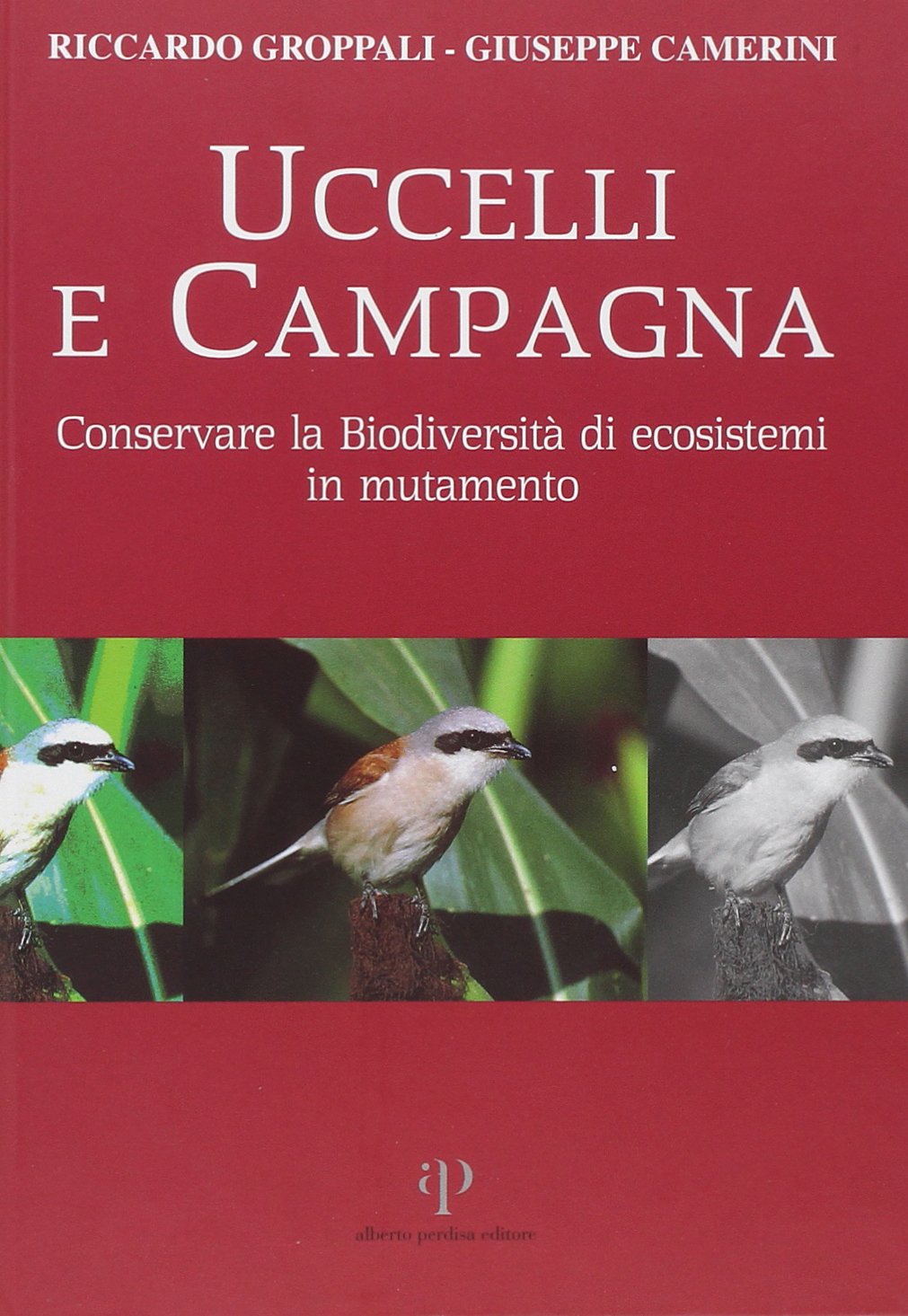 Uccelli e campagna. Conservare la biodiversità di ecosistemi in mutamento book