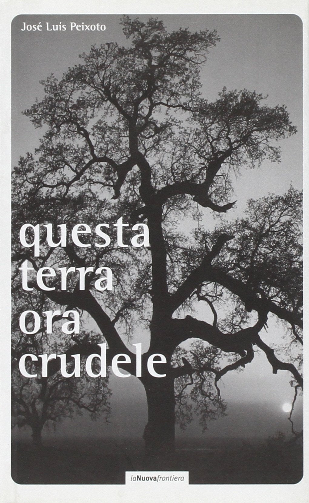 Questa terra ora crudele book