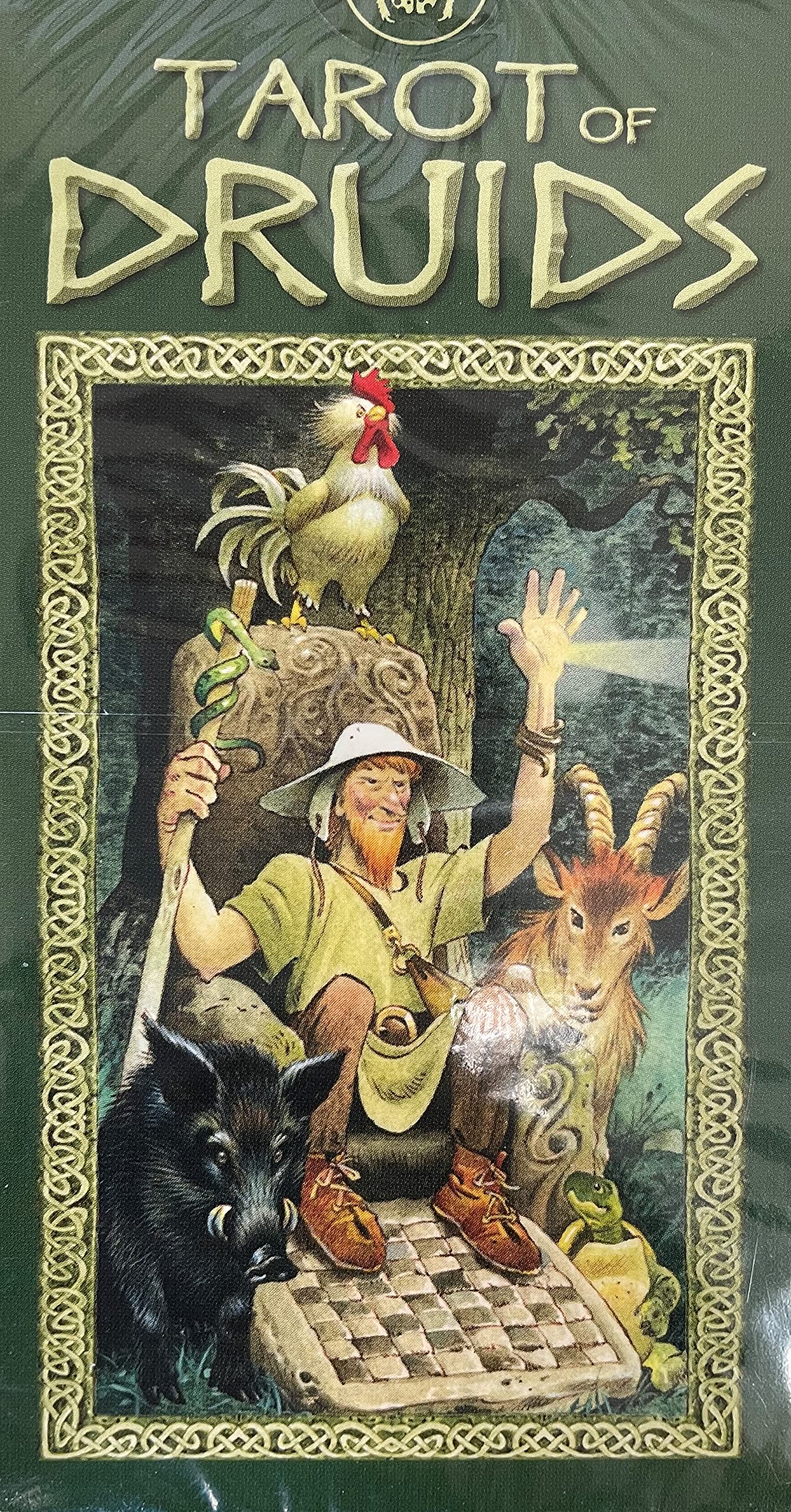 Tarot of Druids book