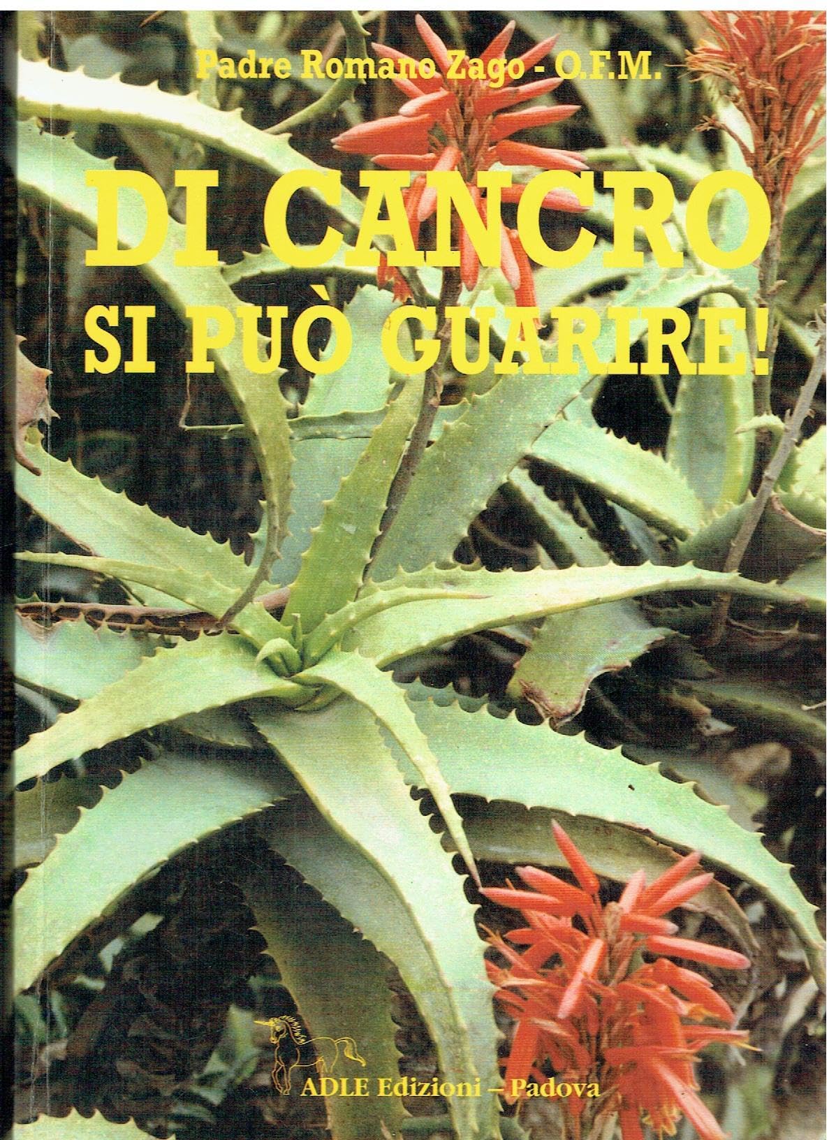 Di cancro si può guarire! Ediz. francese Health, Nutrition & Fitness