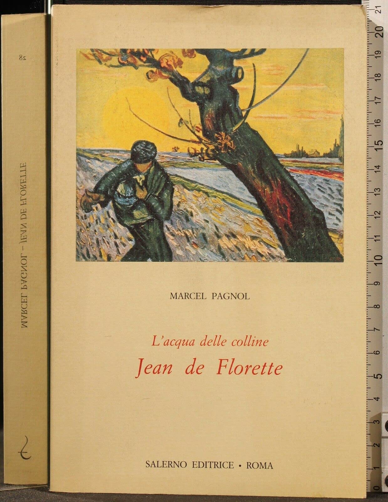 L'acqua delle colline. Jean de Florette (Vol. 1) (Omikron) Contemporary literature