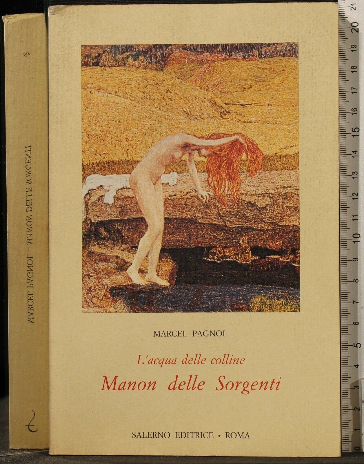 L'acqua delle colline. Manon delle sorgenti (Vol. 2) (Omikron) Contemporary literature