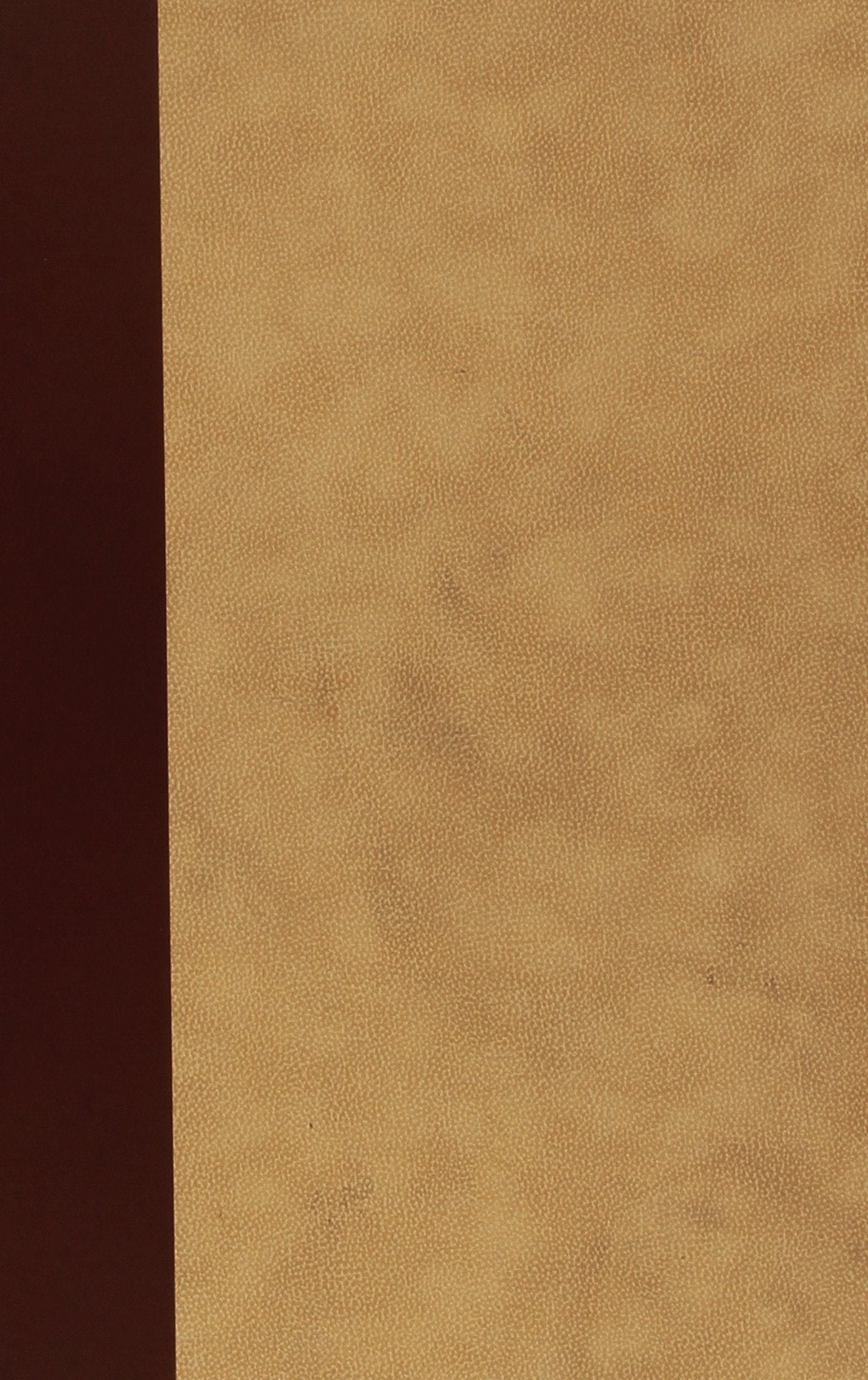 La Commedia, con il commento di Iacomo della Lana, nel ms. riccardiano braidense. Ediz. numerata (venduto nel canale rateale) book