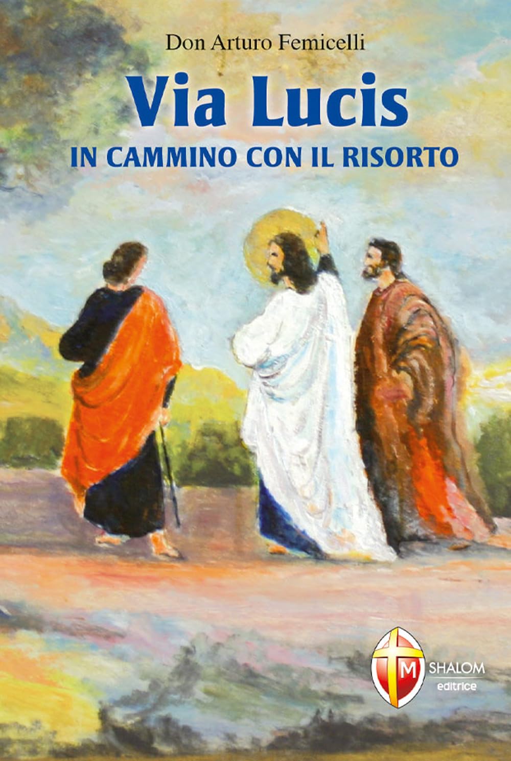 Via lucis. In cammino con il risorto book