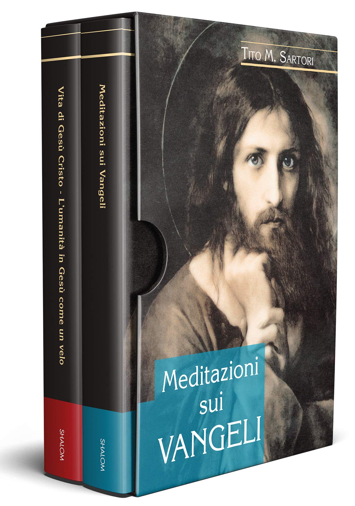 Vita di Gesù Cristo. L'umanità in Gesù come un velo-Meditazioni sui Vangeli book