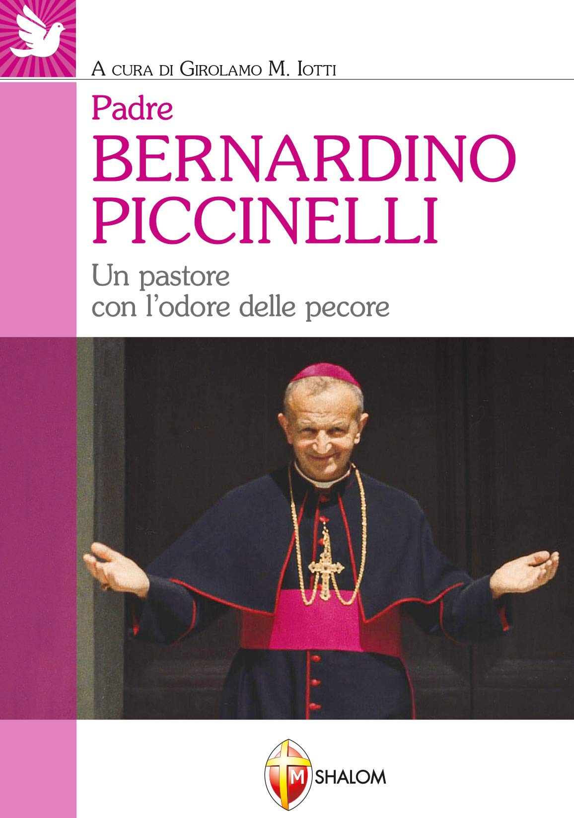 Padre Bernardino Piccinelli. Un pastore con l'odore delle pecore book
