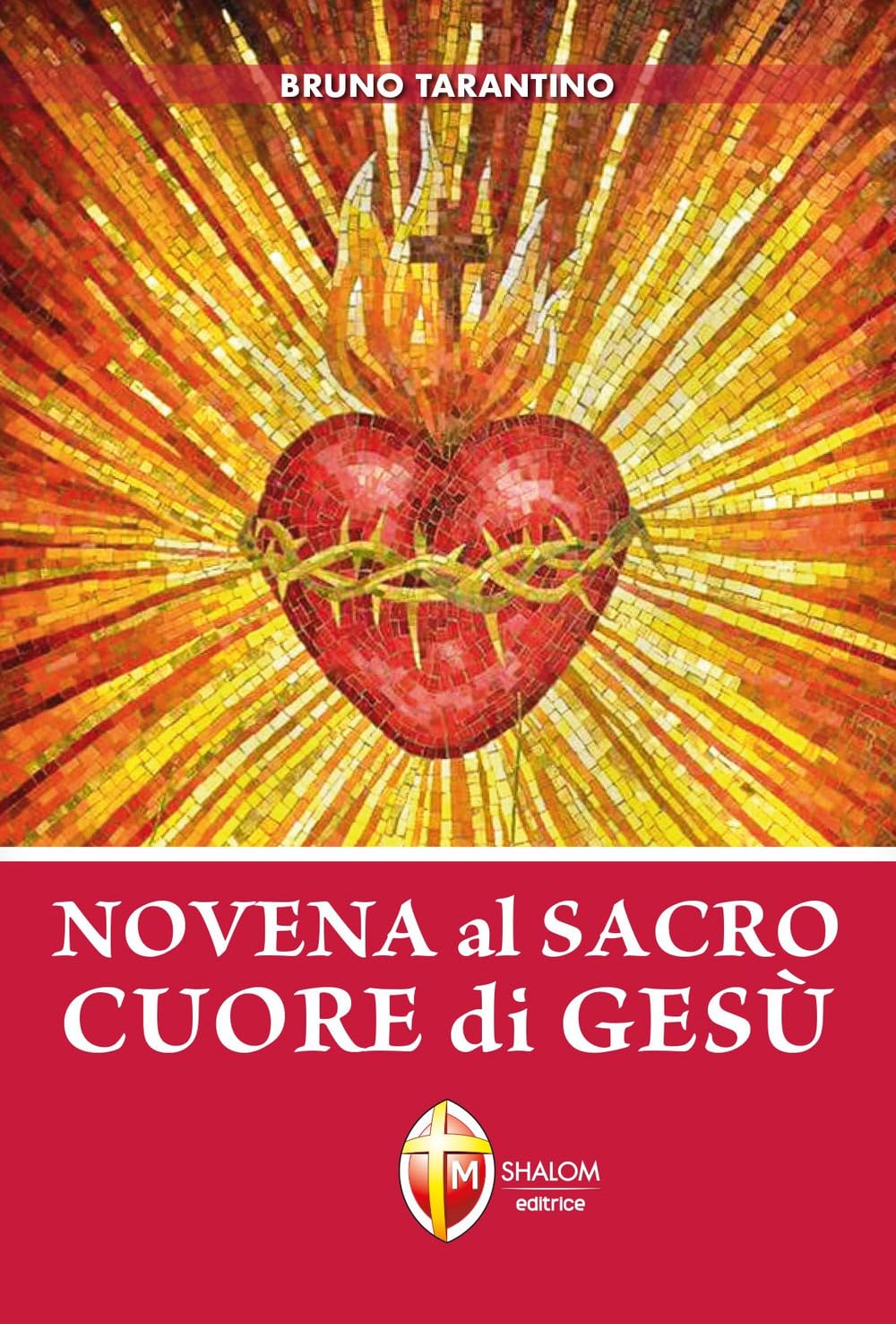 Novena al Sacro Cuore di Gesù book