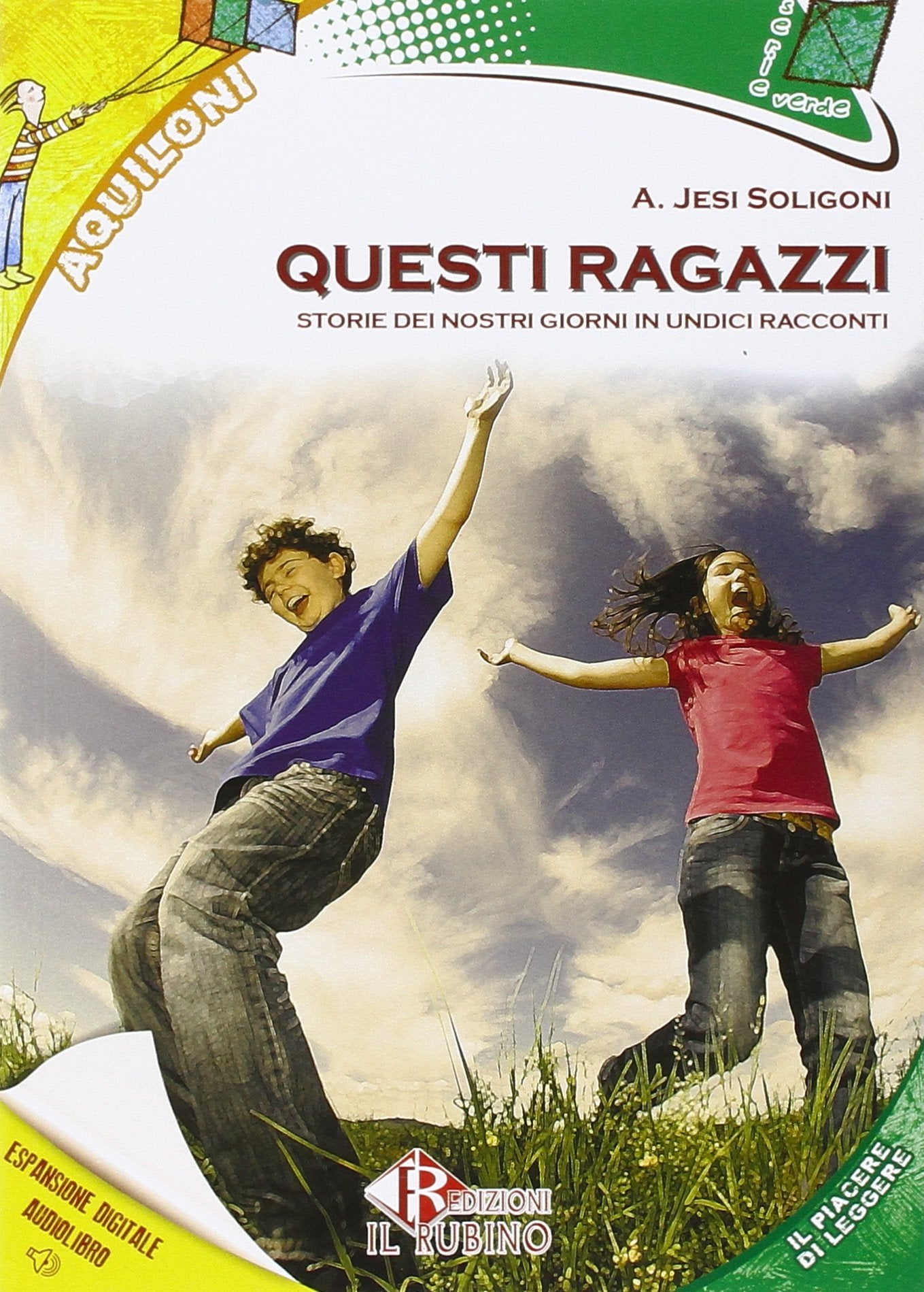 Questi ragazzi. Storie dei nostri giorni. Con espansione online book