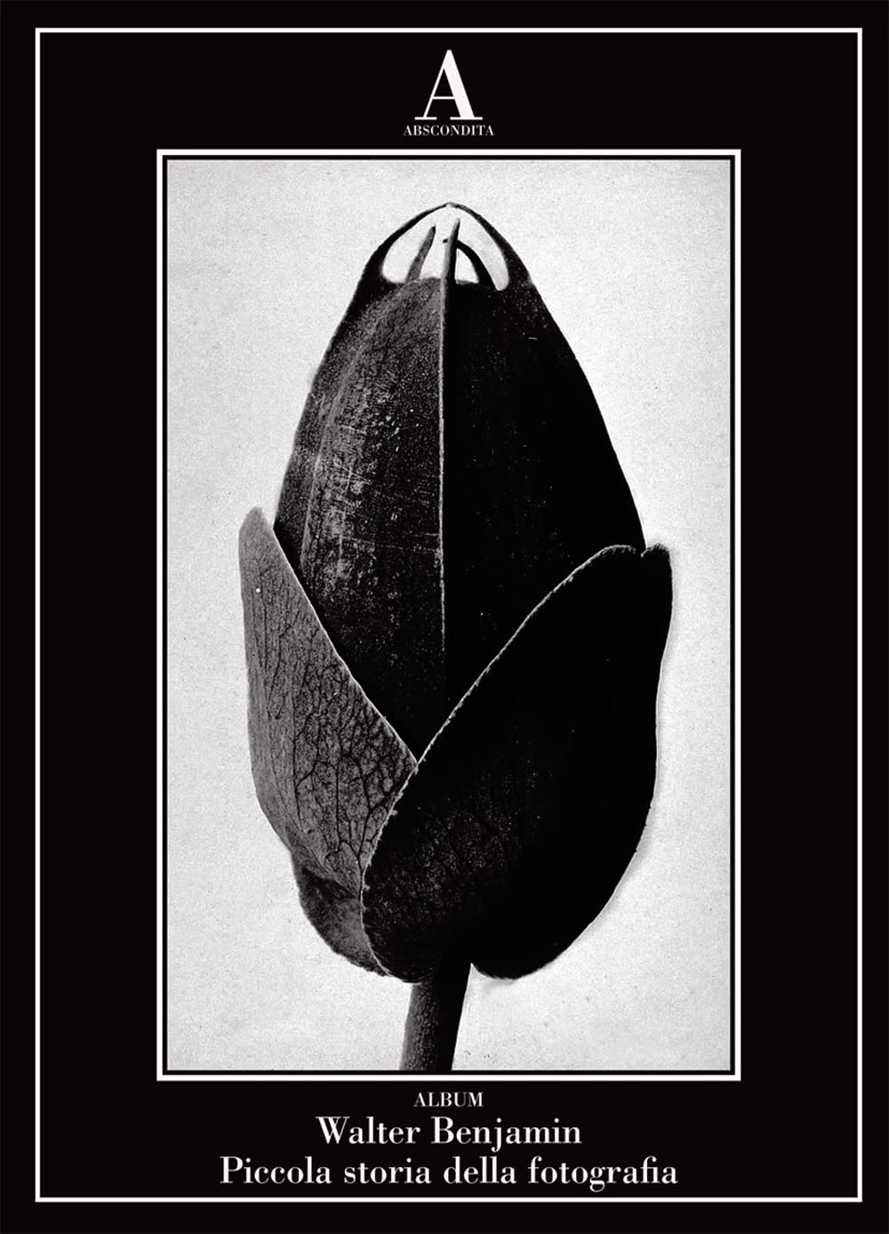 Piccola storia della fotografia. Ediz. illustrata book