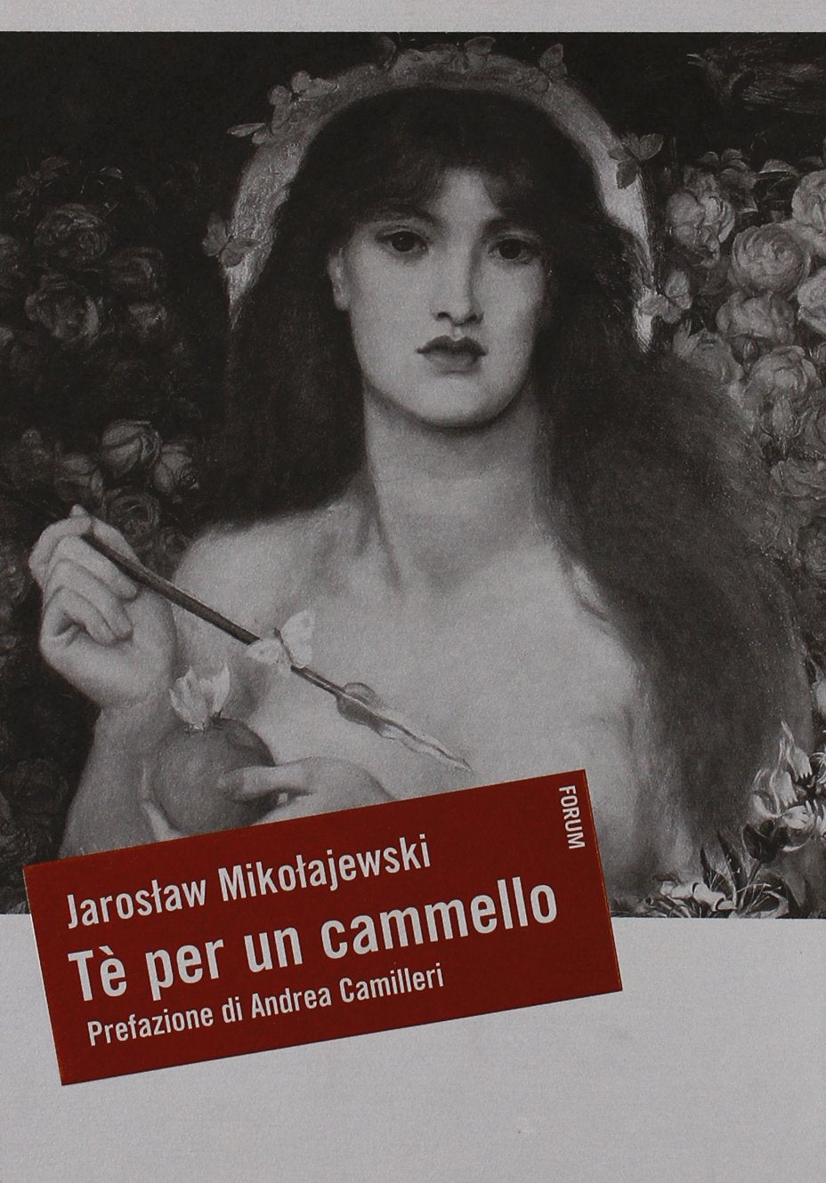Tè per un cammello. Ovvero i casi e i casini dell'investigatore McCoy Contemporary literature