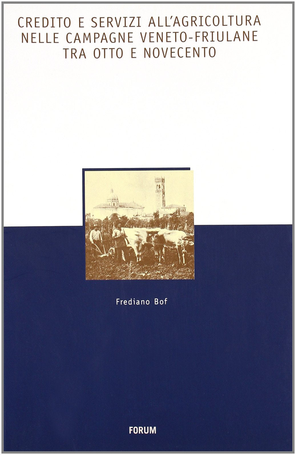 Credito e servizi all'agricoltura nelle campagne veneto-friuliane tra Otto e Novecento book