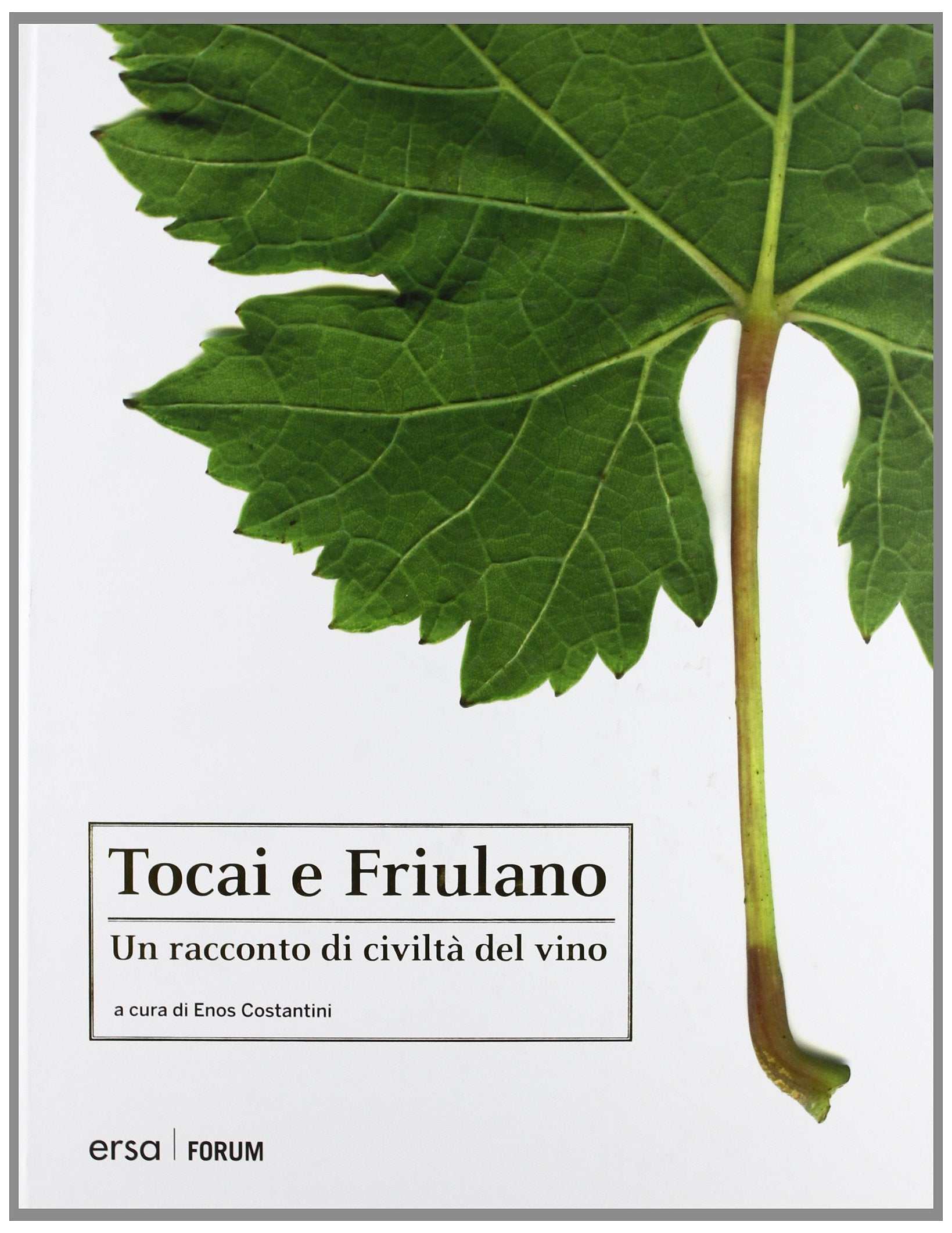 Tocai e Friulano. Un racconto di civiltà del vino book