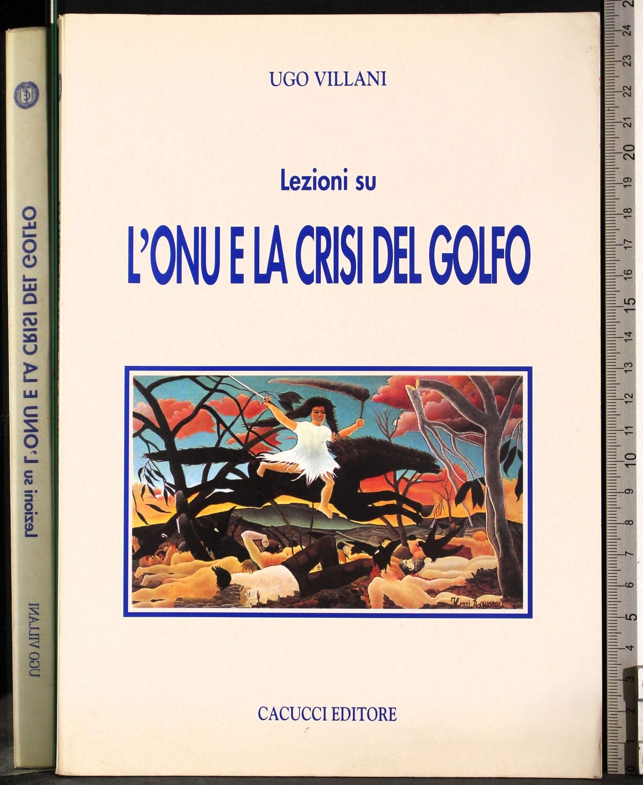 Lezioni su l'ONU e la crisi del Golfo Social Sciences