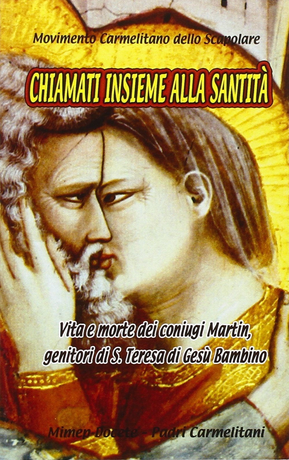 Chiamati insieme alla santità book