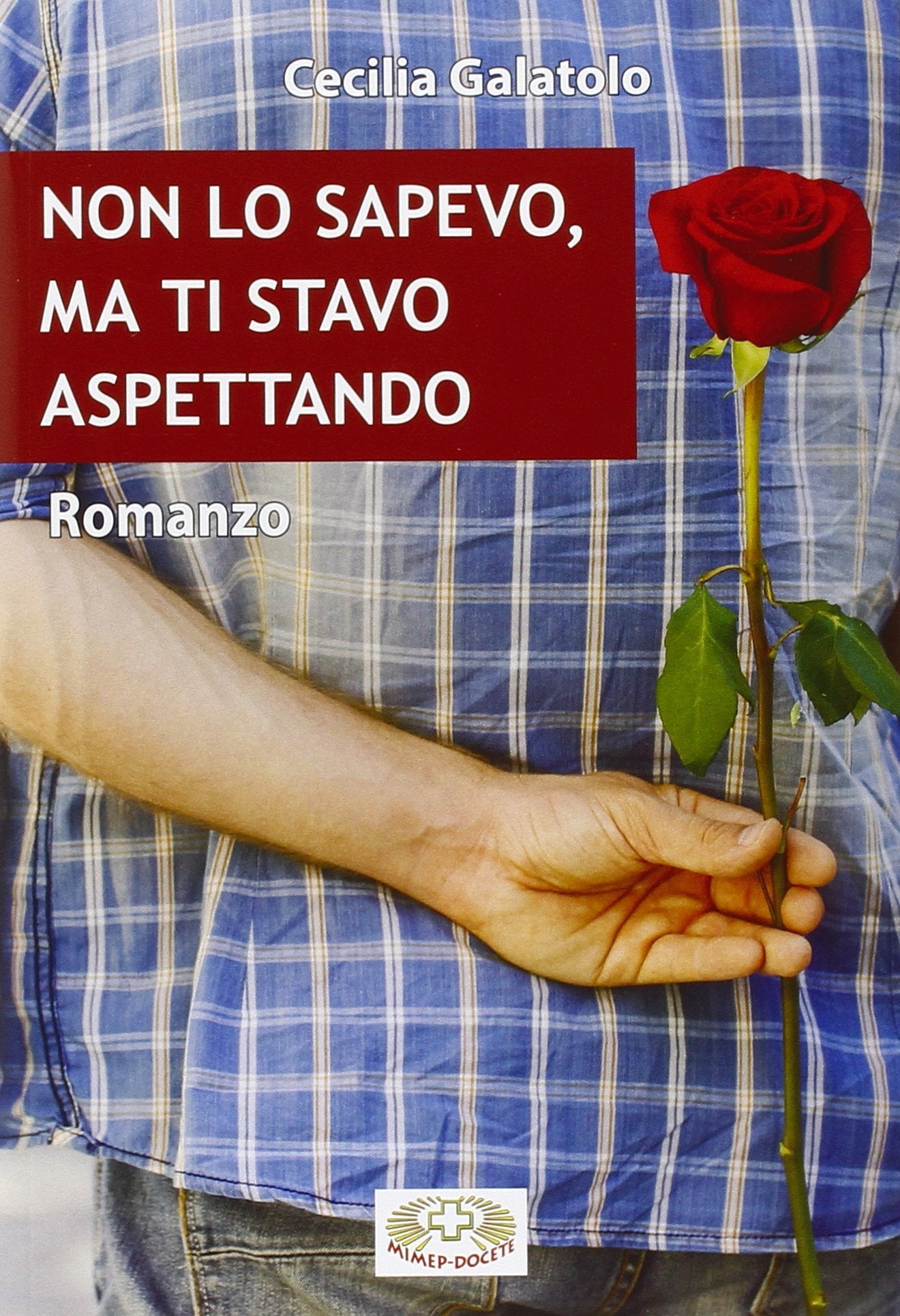 Non lo sapevo, ma ti stavo aspettando book