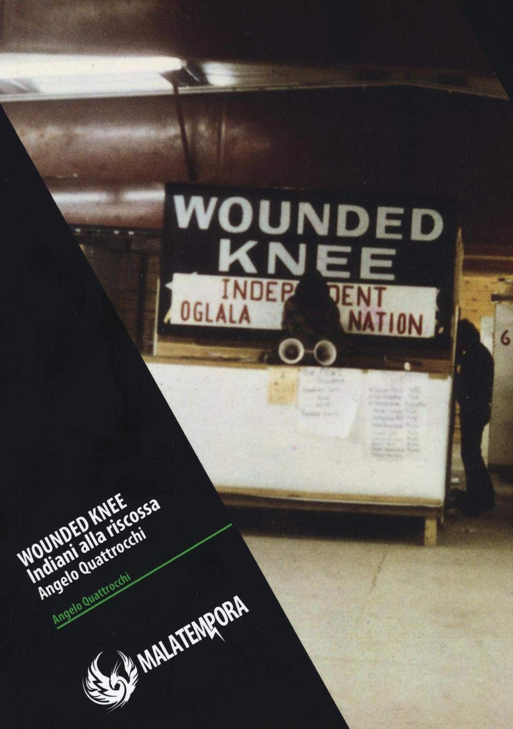 Wounded Knee. Gli indiani alla riscossa. Ediz. illustrata book