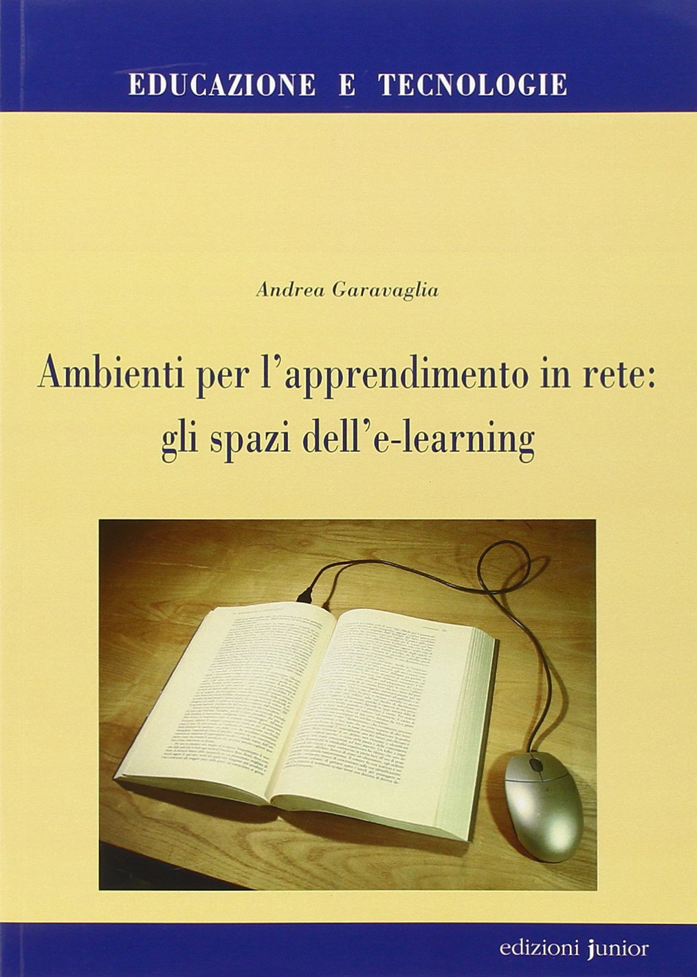 Ambienti per l'apprendimento in rete: gli spazi dell'e-learning book