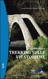 Lombardia. Trekking sulle vie storiche (Vol. 5) book