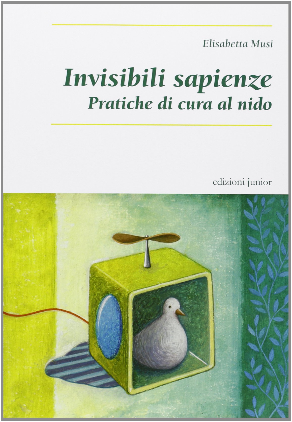 Invisibili sapienze. Pratiche di cura al nido book