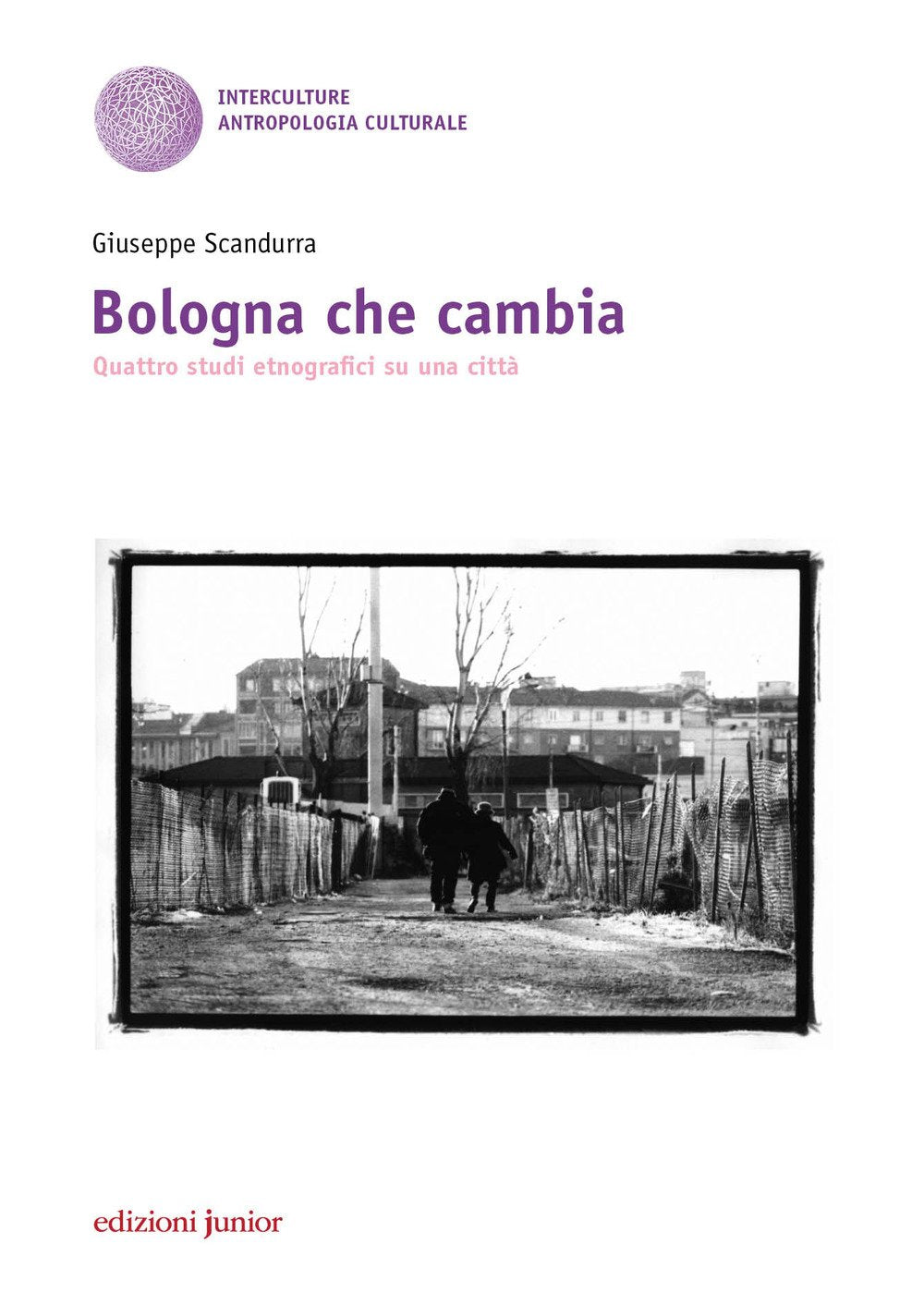 Bologna che cambia. Quattro studi etnografici su una città Social Sciences