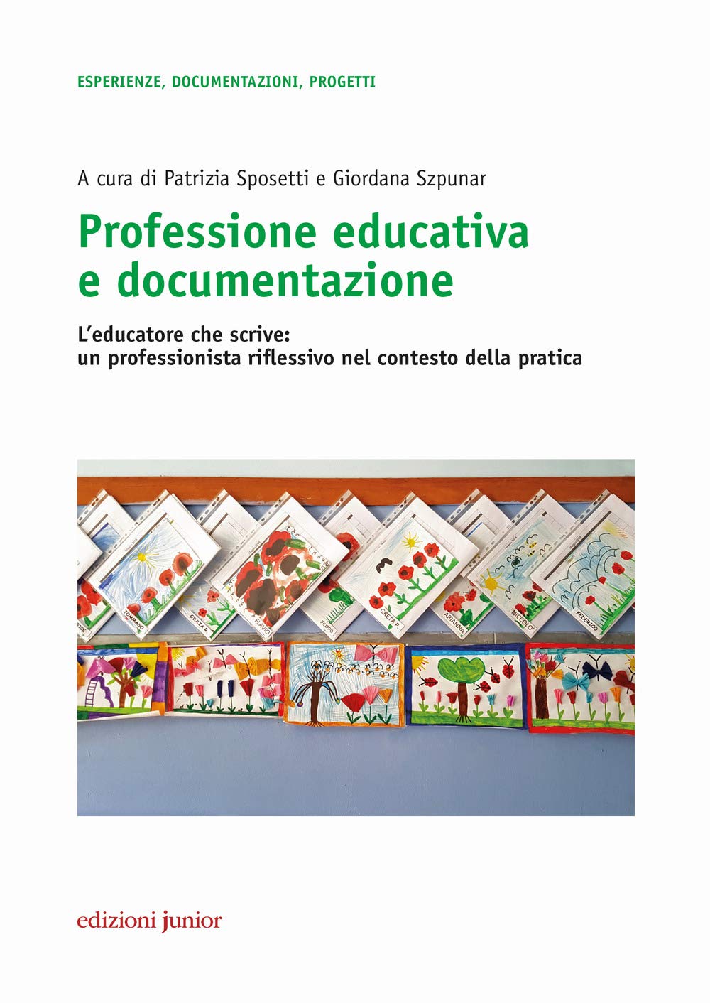 Professione educativa e documentazione. L'educatore che scrive: un professionista riflessivo nel contesto della pratica book