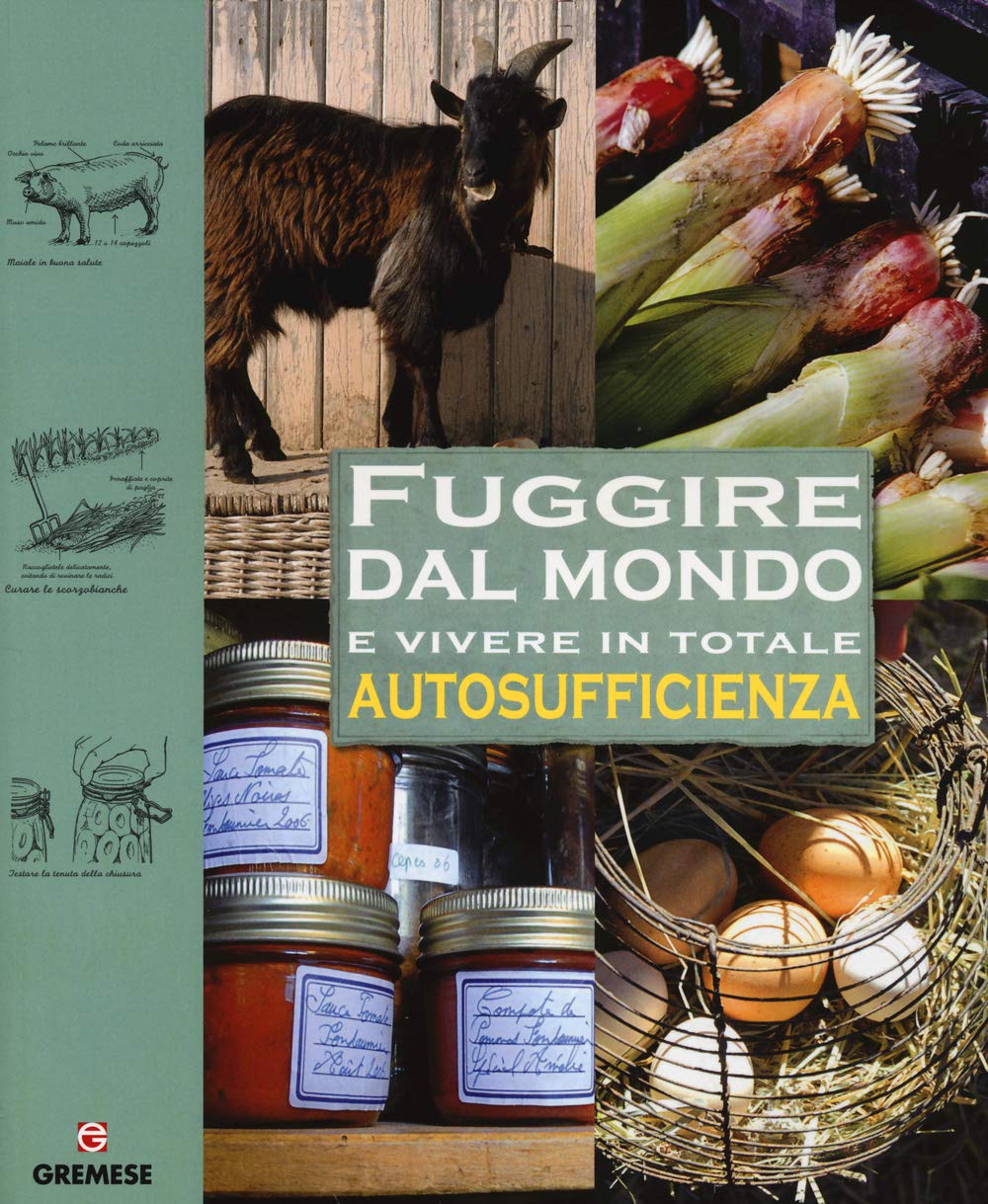 Fuggire dal mondo e vivere in totale autosufficienza book