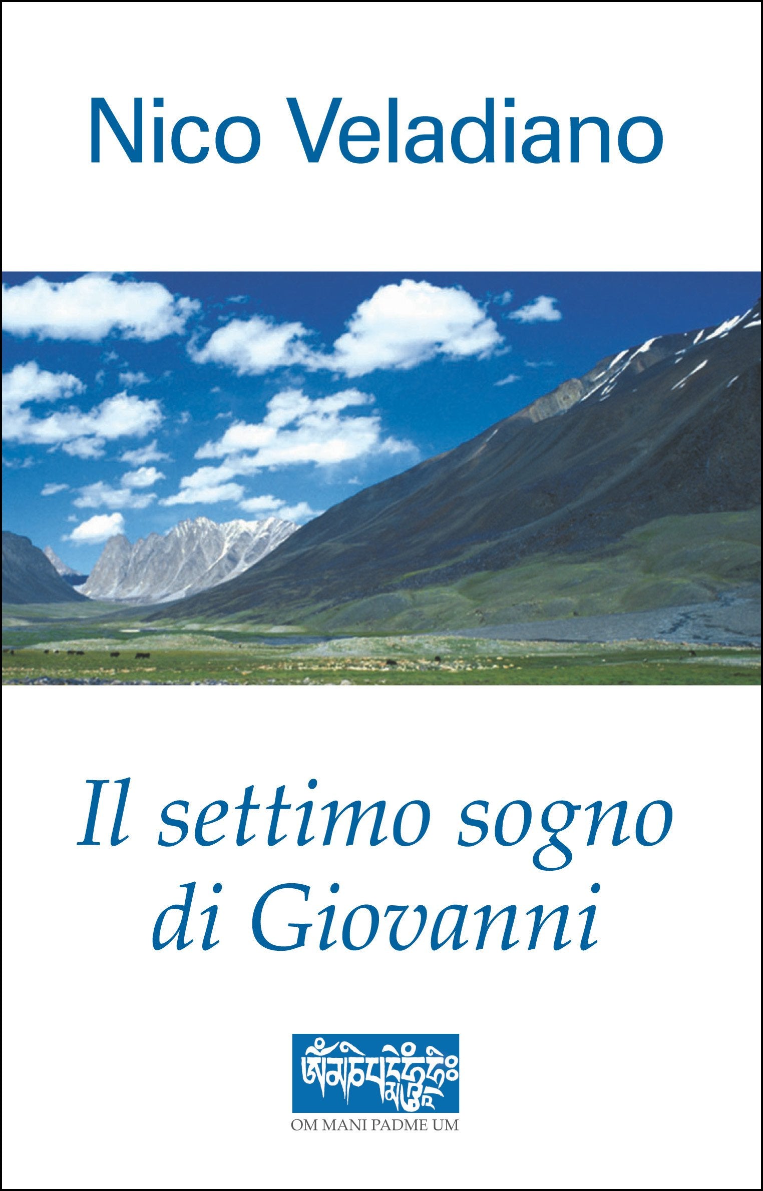Il settimo sogno di Giovanni (Narrativa 2000) Contemporary literature
